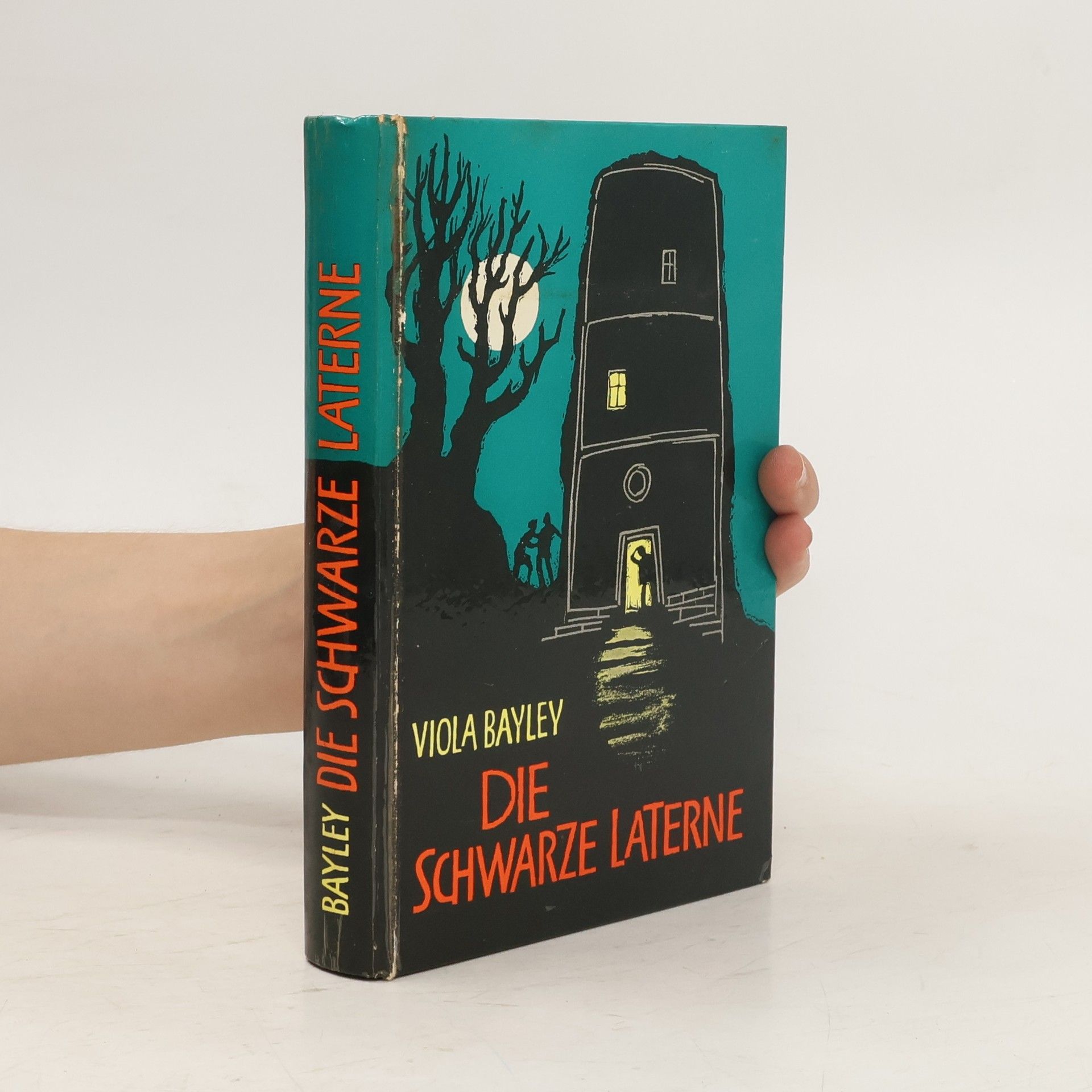 Viola Bayley Die Schwarze Laterne