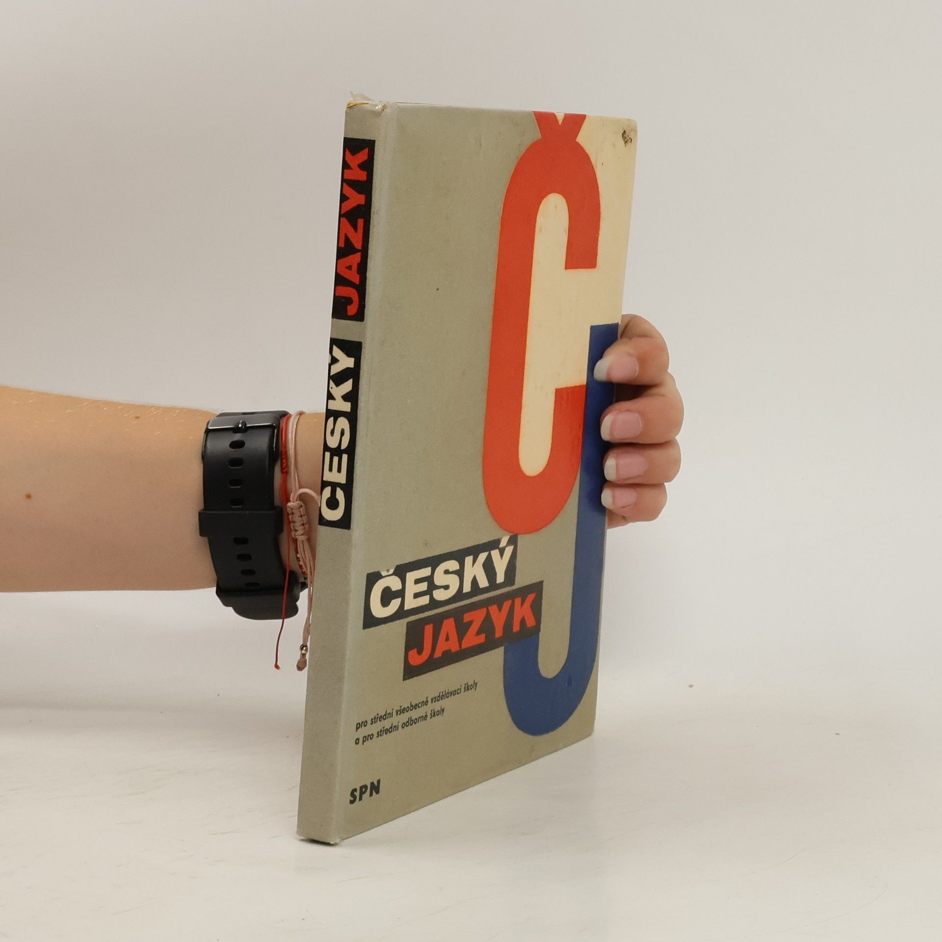 Autorenkollektiv Český jazyk pro střední všeobecně vzdělávací školy a pro střední školy
