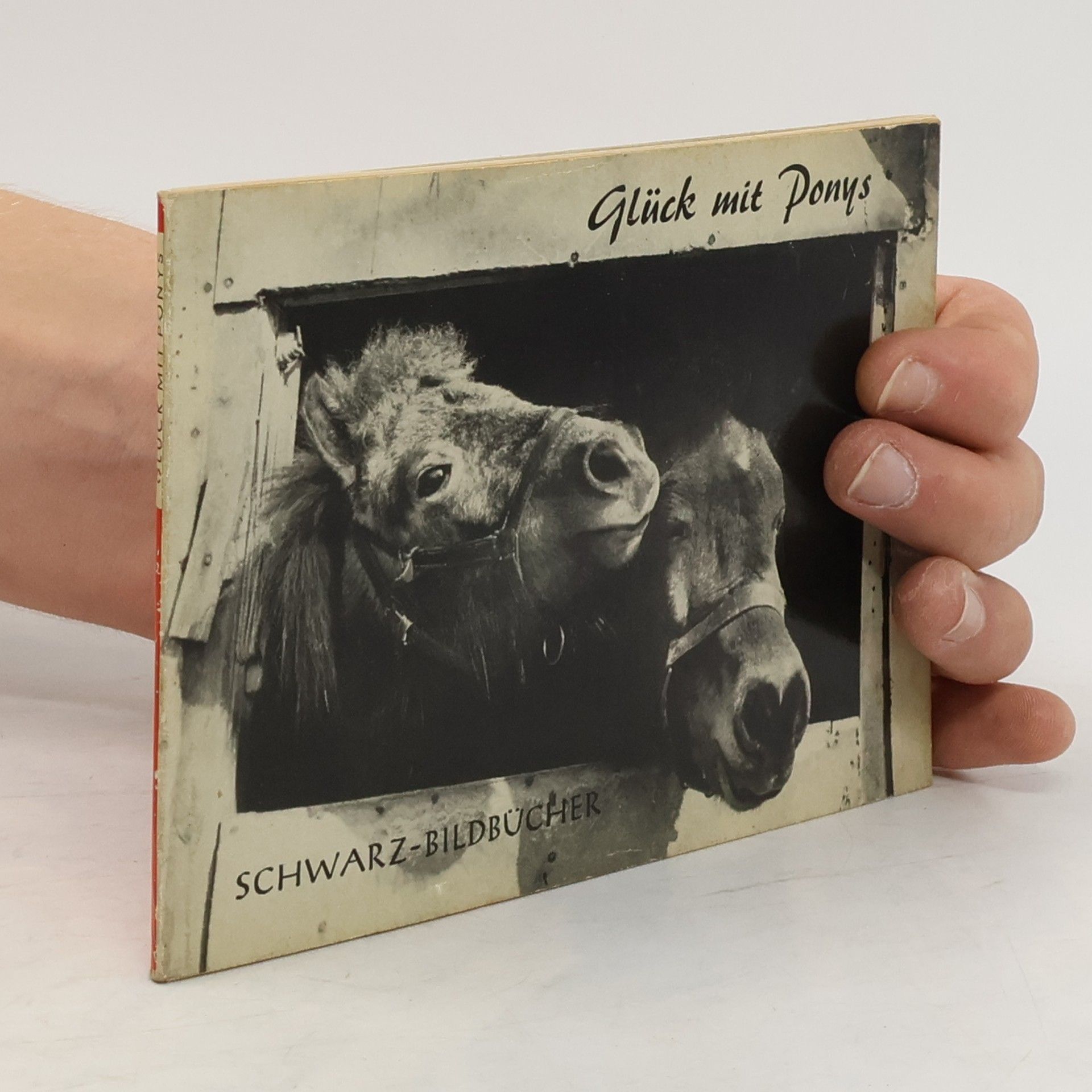 Autorenkollektiv Glück mit Ponys