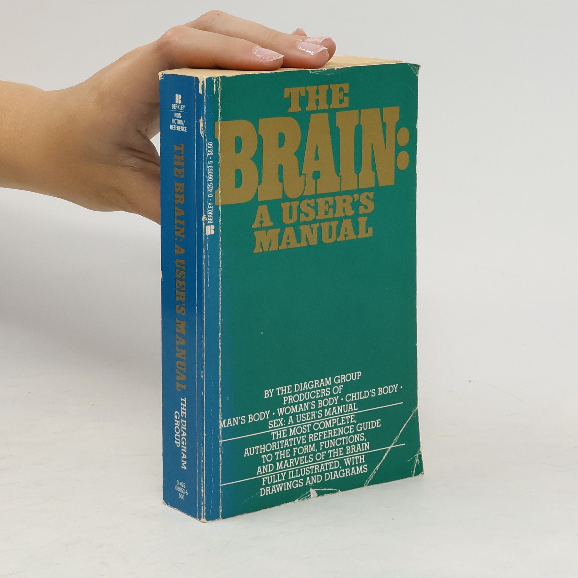Diagram Group The Brain