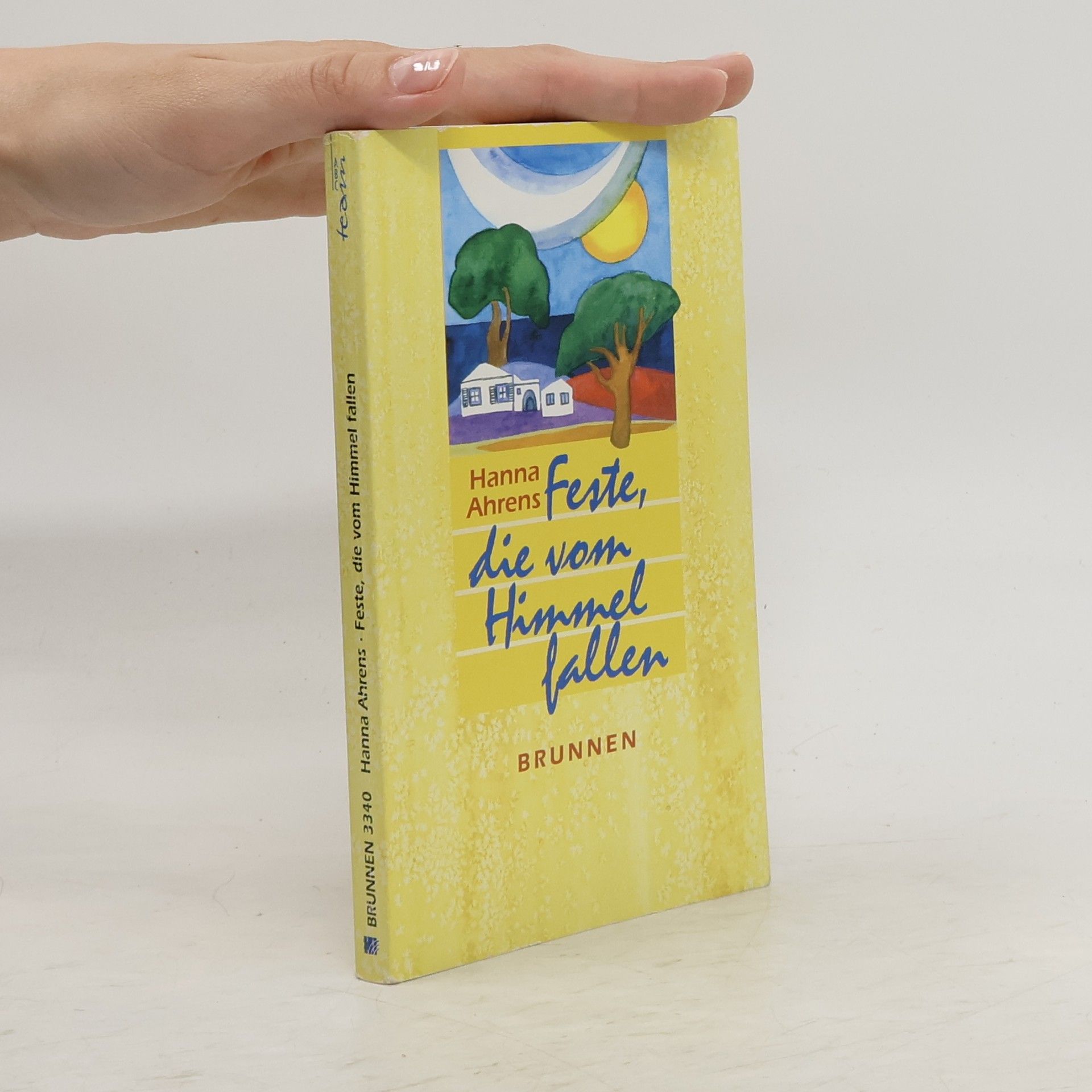 Hanna Ahrens Feste, die vom Himmel fallen