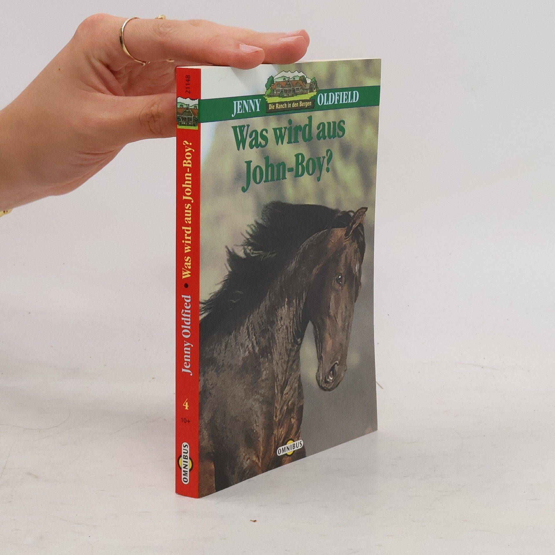 Jenny Oldfield Die Ranch in den Bergen