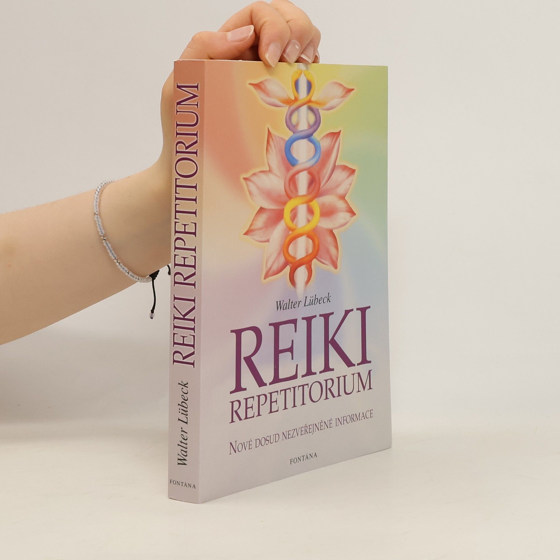 Walter Lübeck Repetitorium reiki