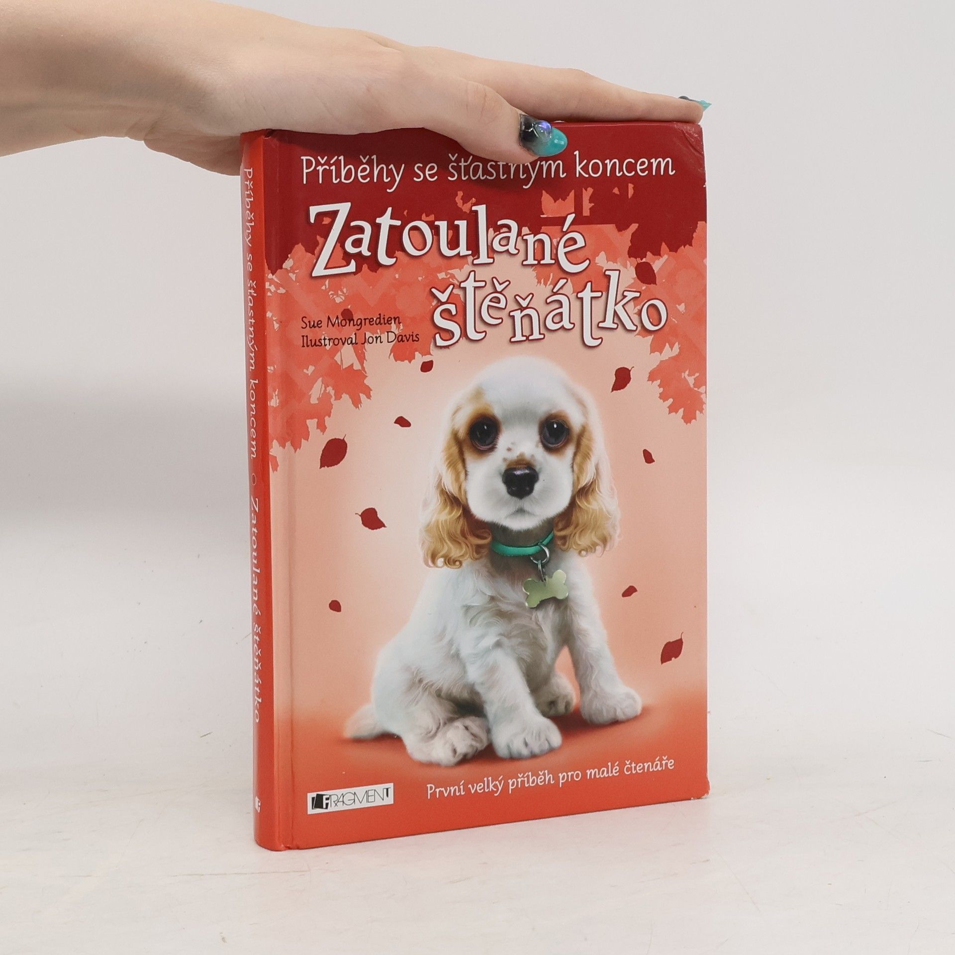 Jon Davis Zatoulané štěňátko
