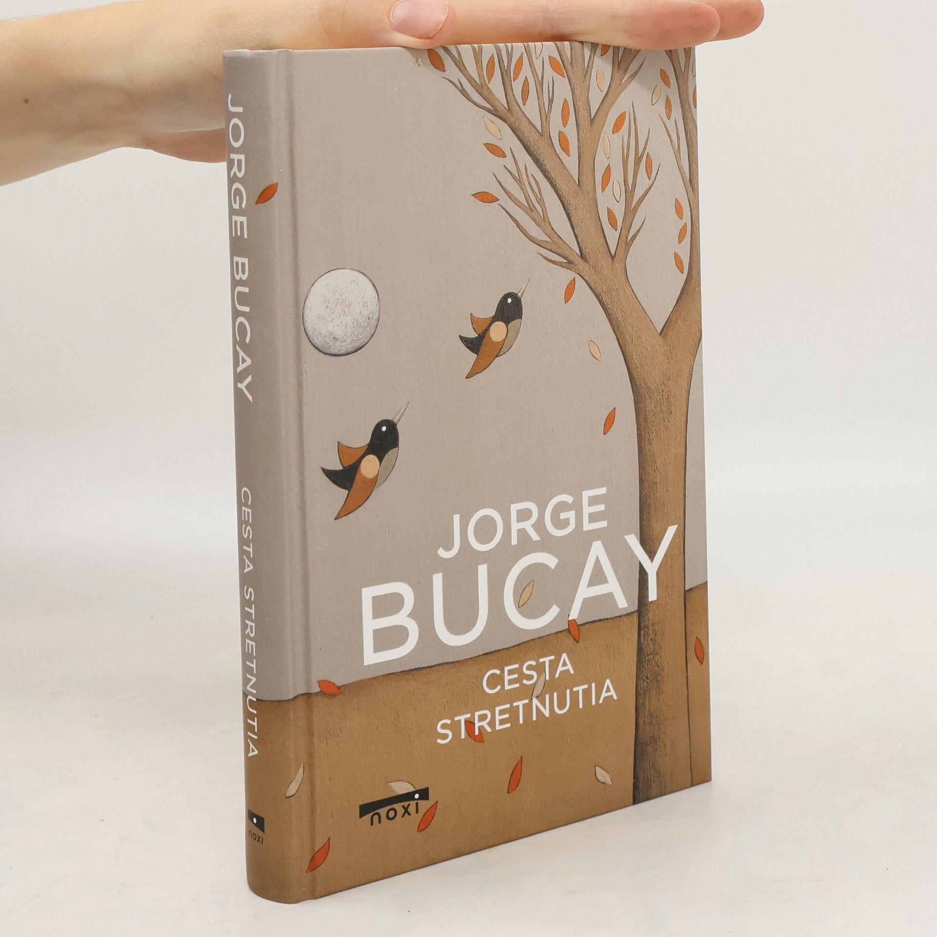 Jorge Bucay Cesta stretnutia