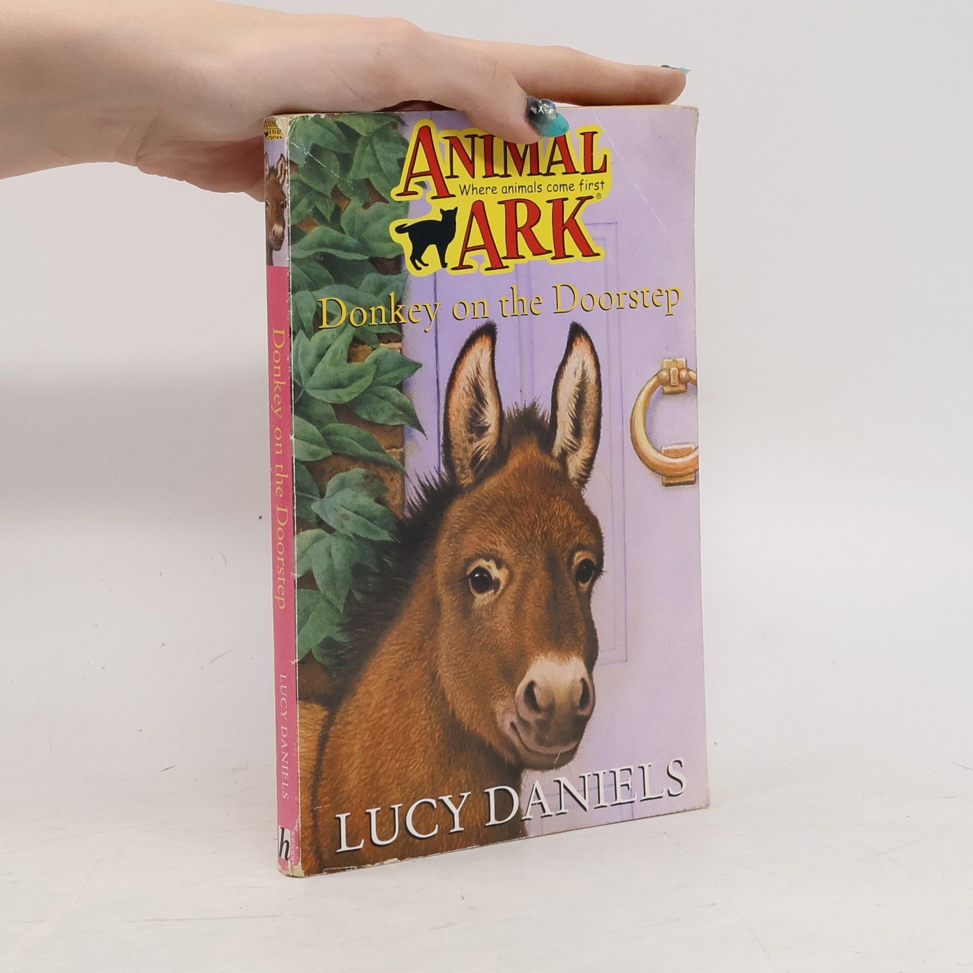 Lucy Daniels Donkey on the Doorstep