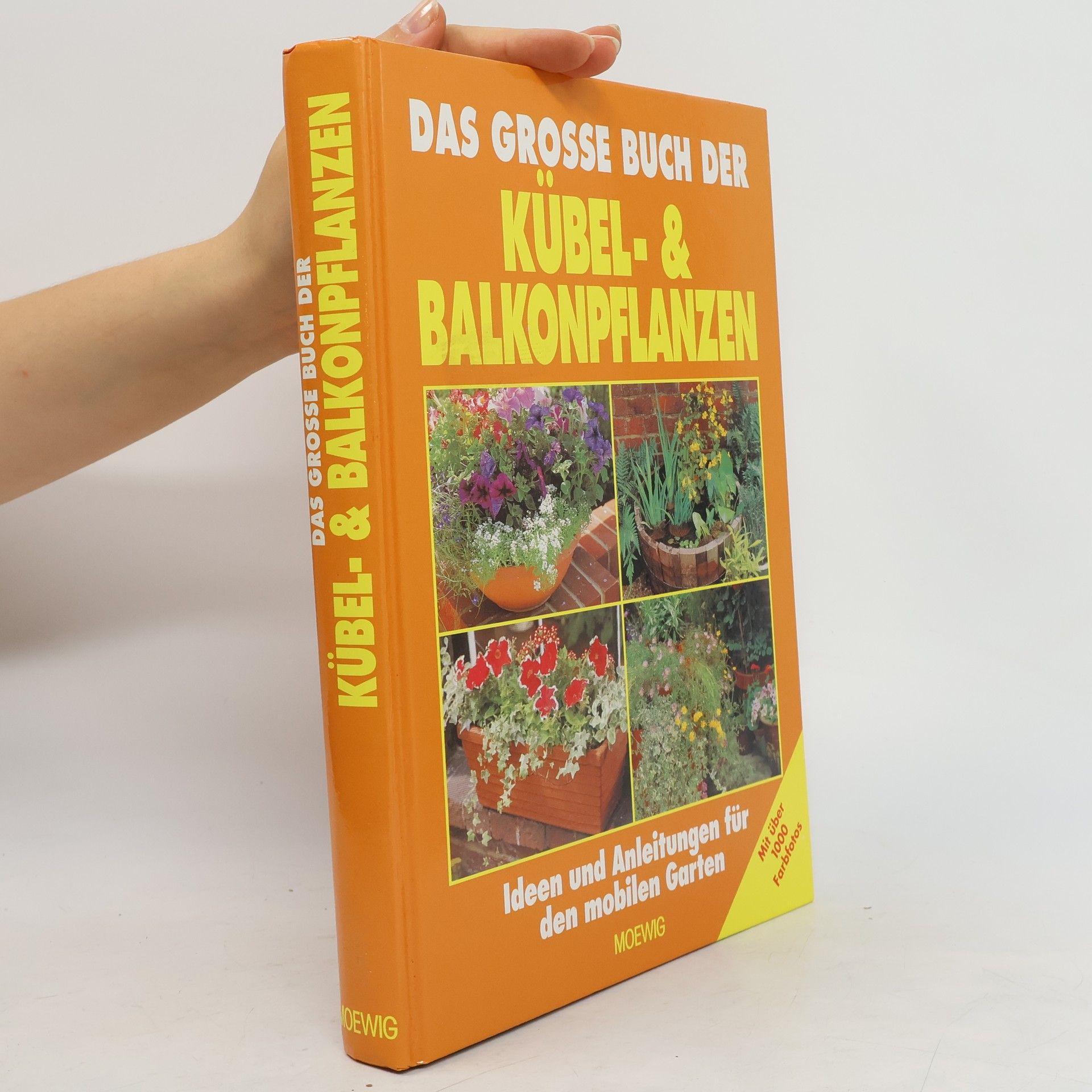 Collectif d'auteurs Das große Buch der Kübel- und Balkonpflanzen