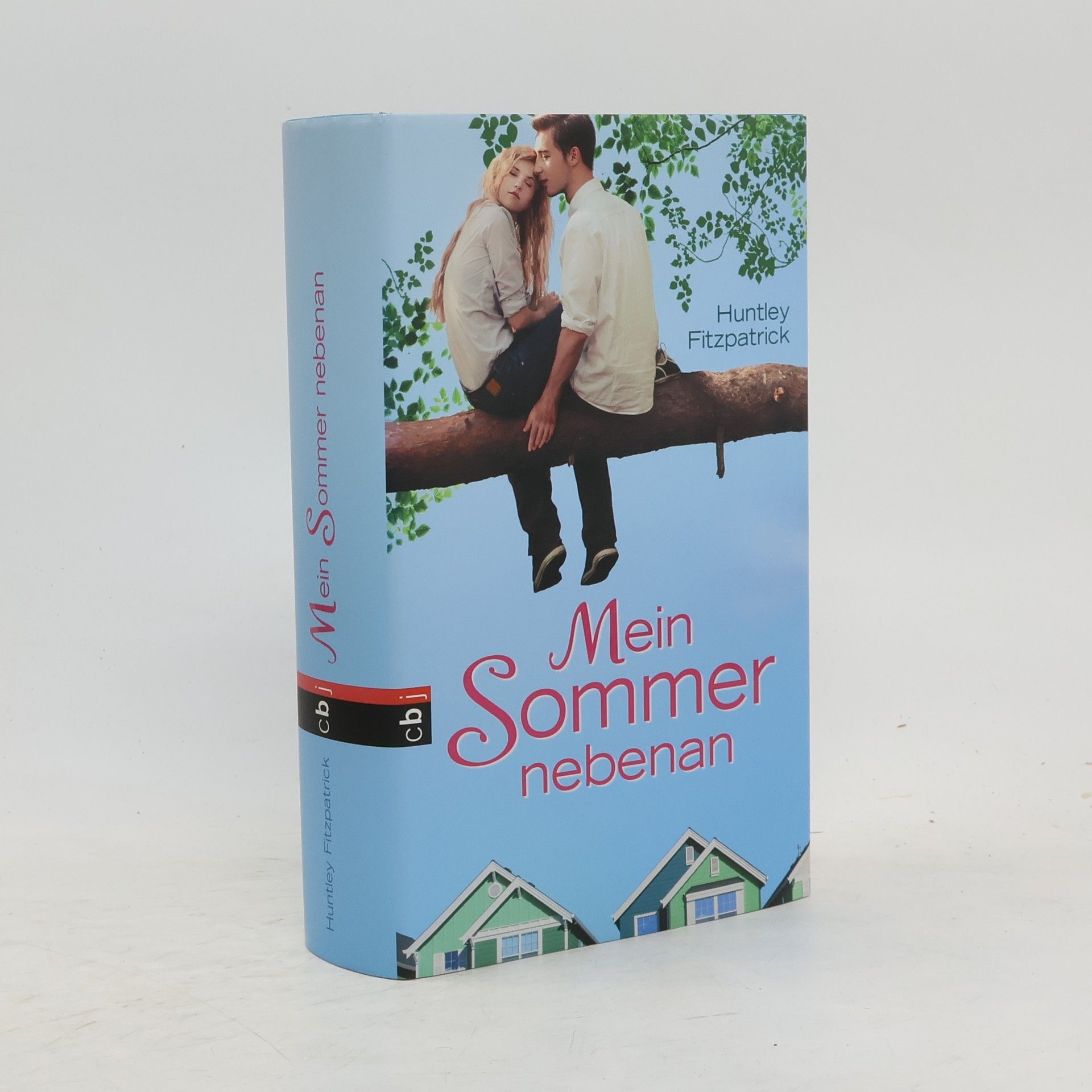 Huntley Fitzpatrick Mein Sommer nebenan