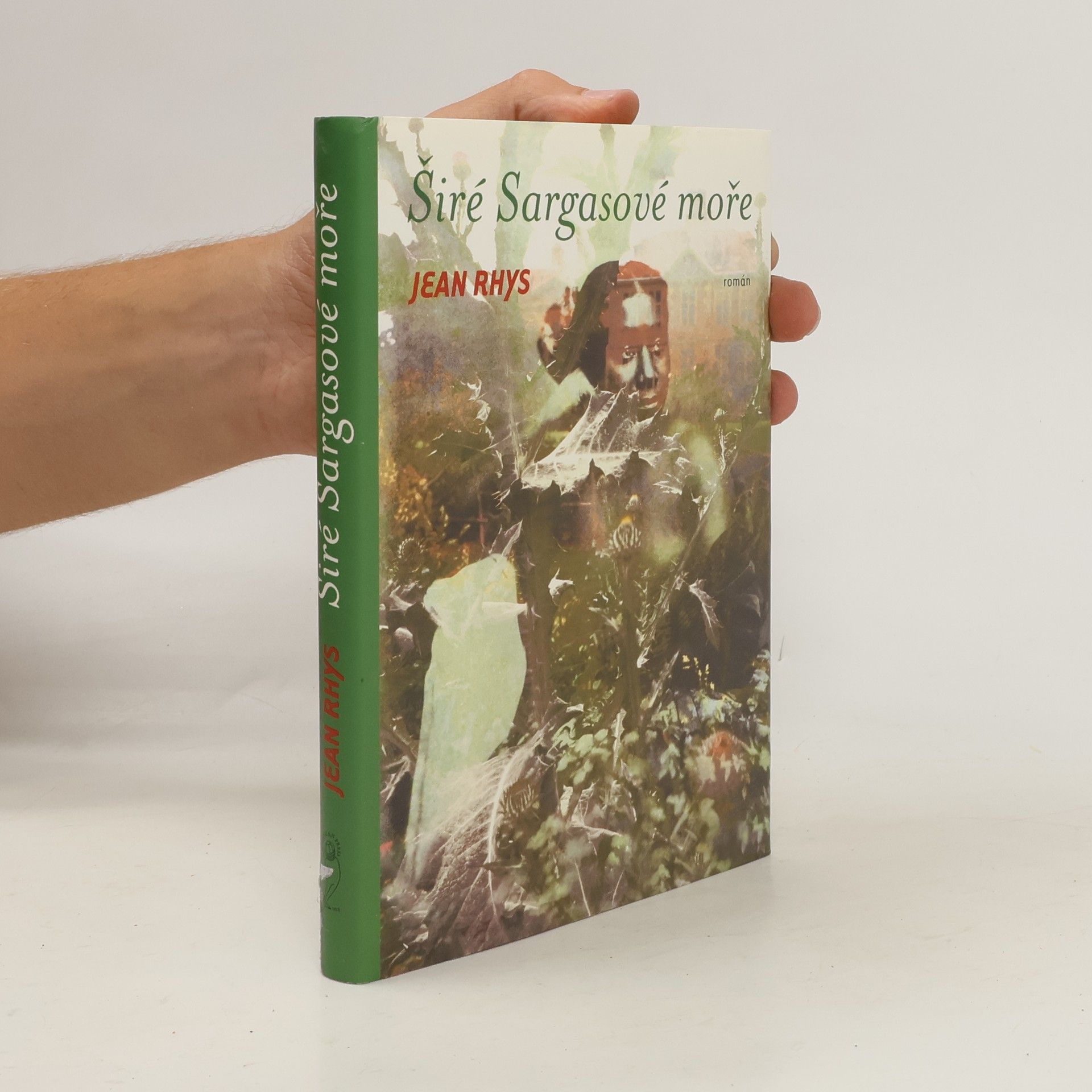 Jean Rhys Širé Sargasové moře