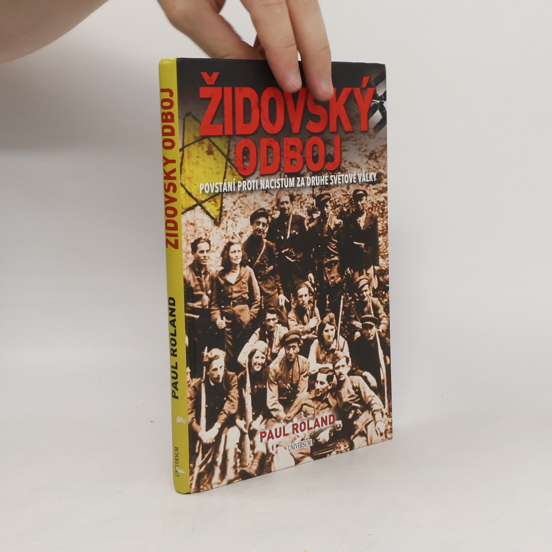 Paul Roland Židovský odboj: Povstání proti nacistům za druhé světové války