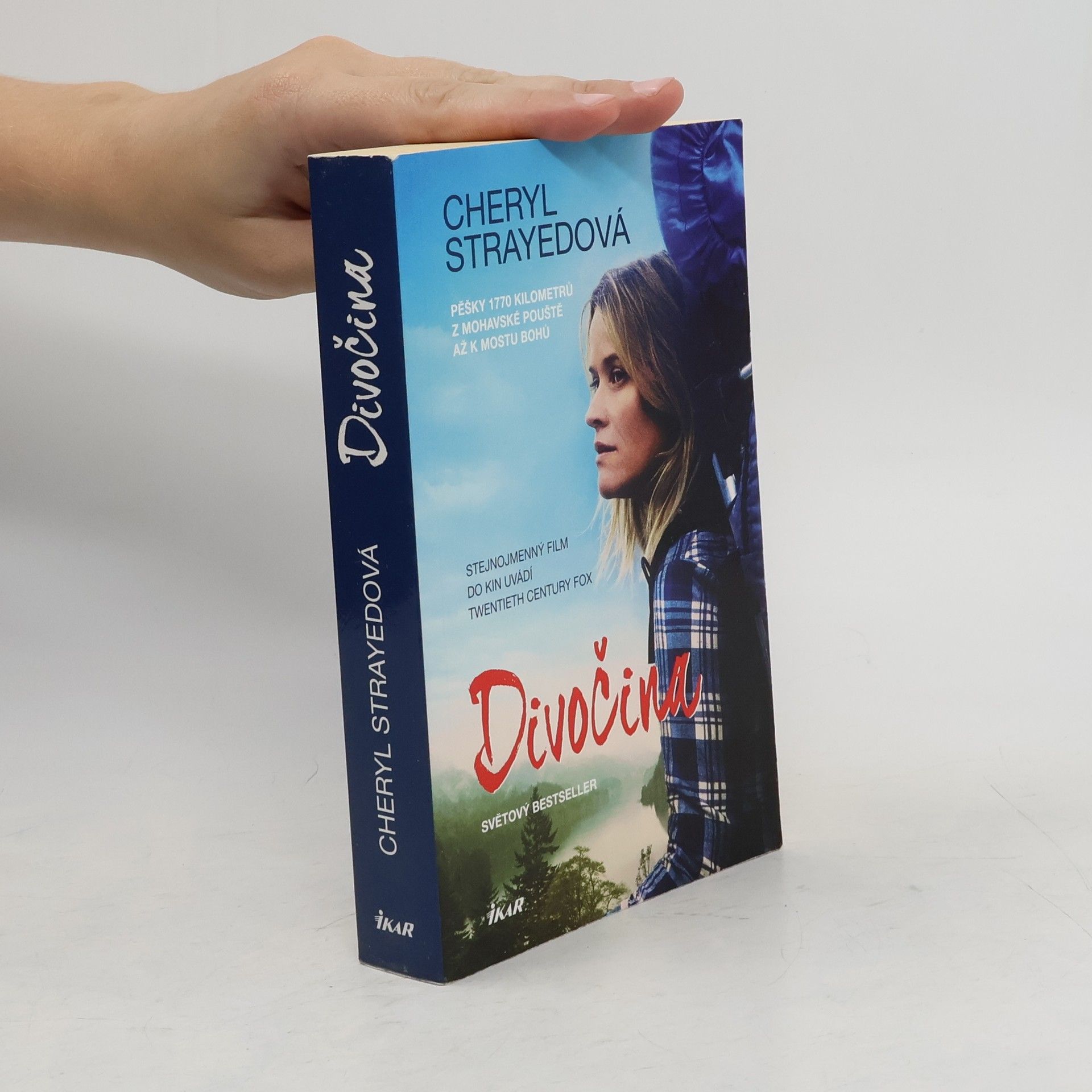 Cheryl Strayed Divočina. Pěšky 1770 kilometrů z Mohavské pouště až k mostu bohů