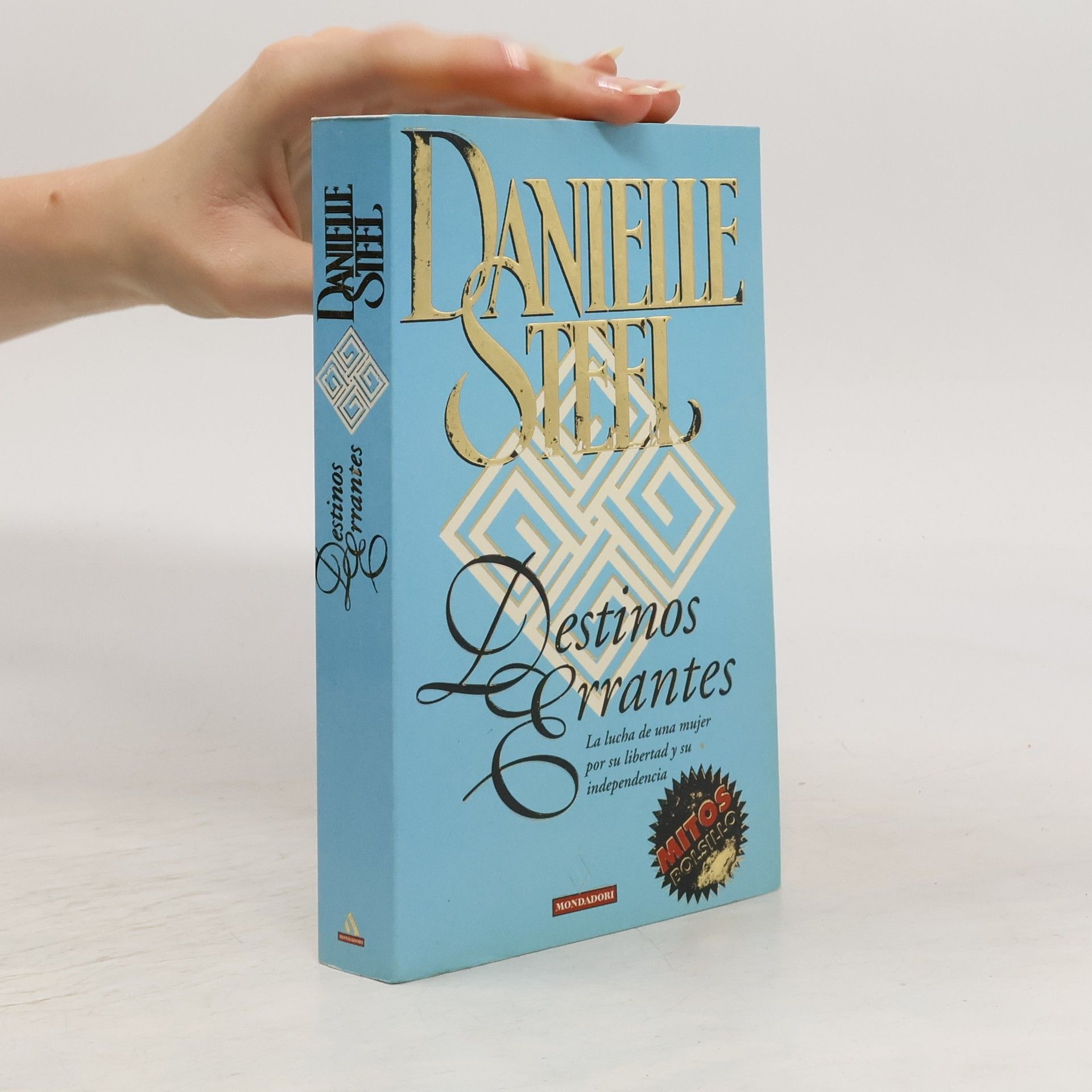 Danielle Steel Destinos errantes