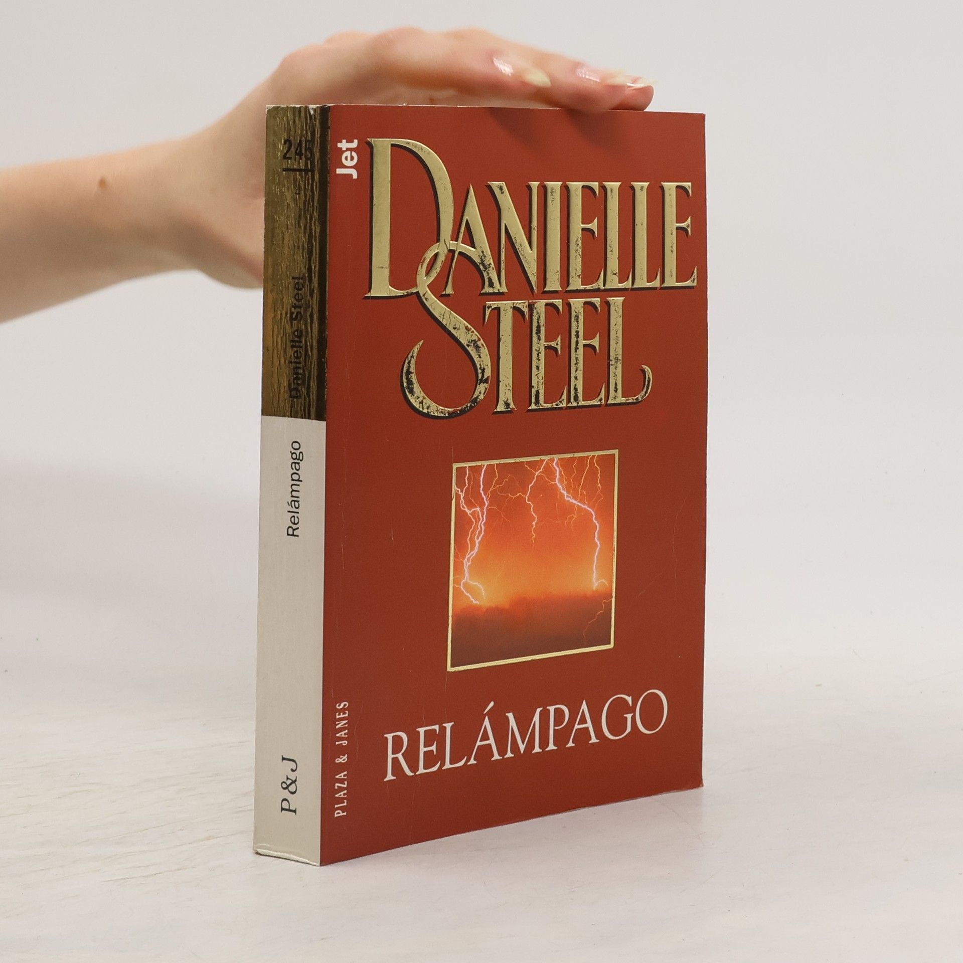 Danielle Steel Relámpago