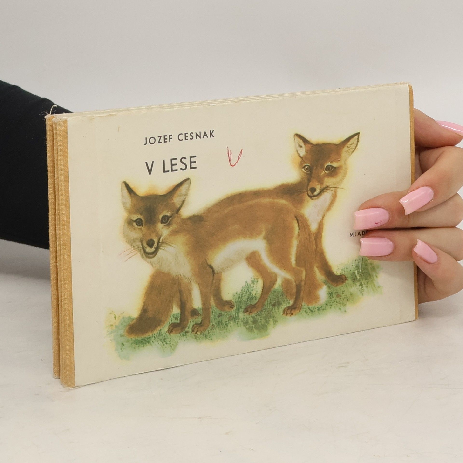 Jozef Cesnak V lese
