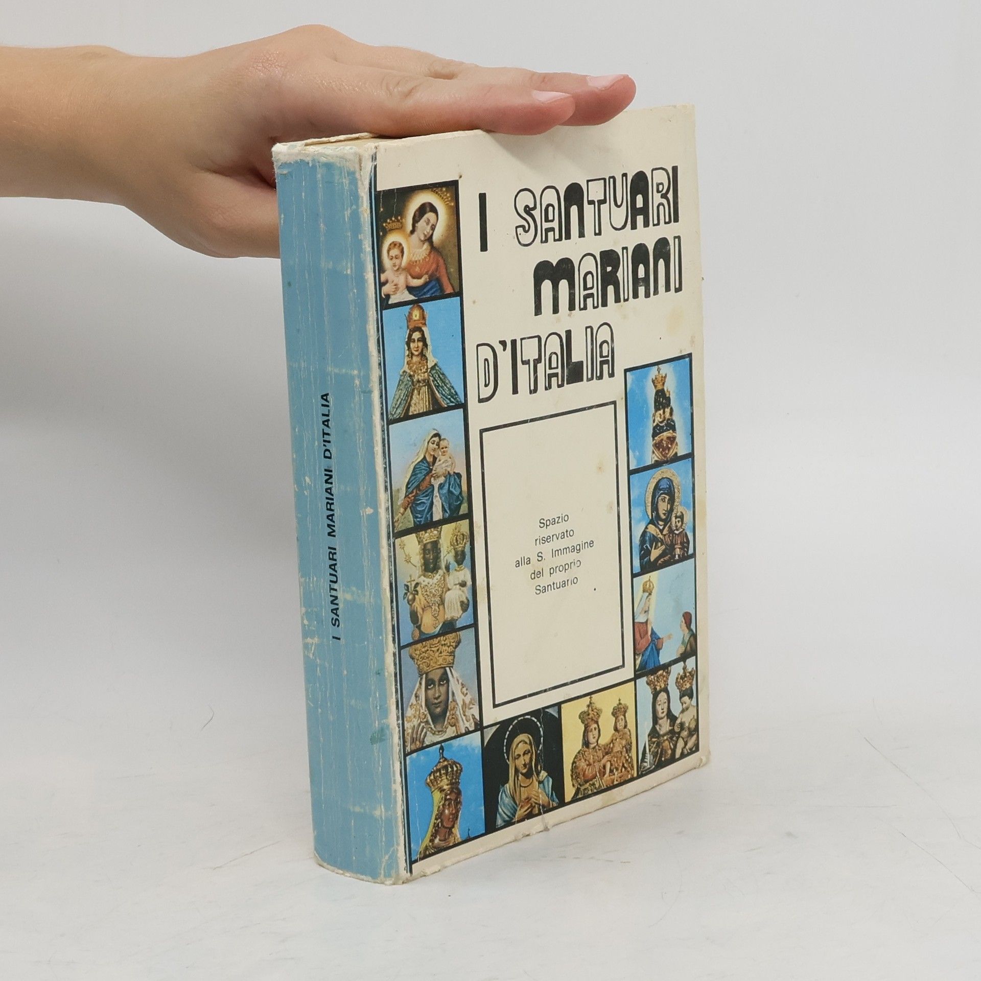 AA.VV. I santuari cristiani d'Italia