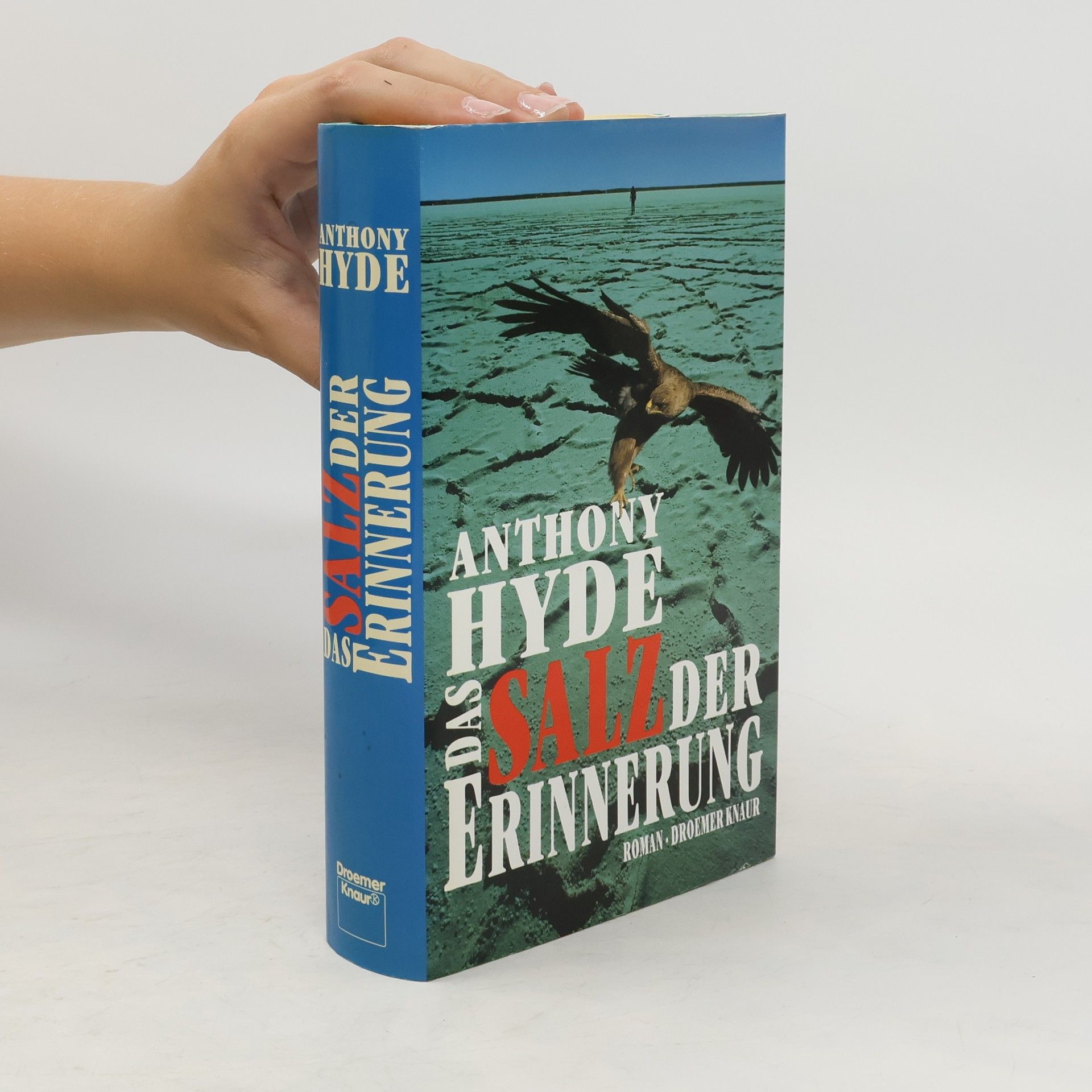 Anthony Hyde Das Salz der Erinnerung