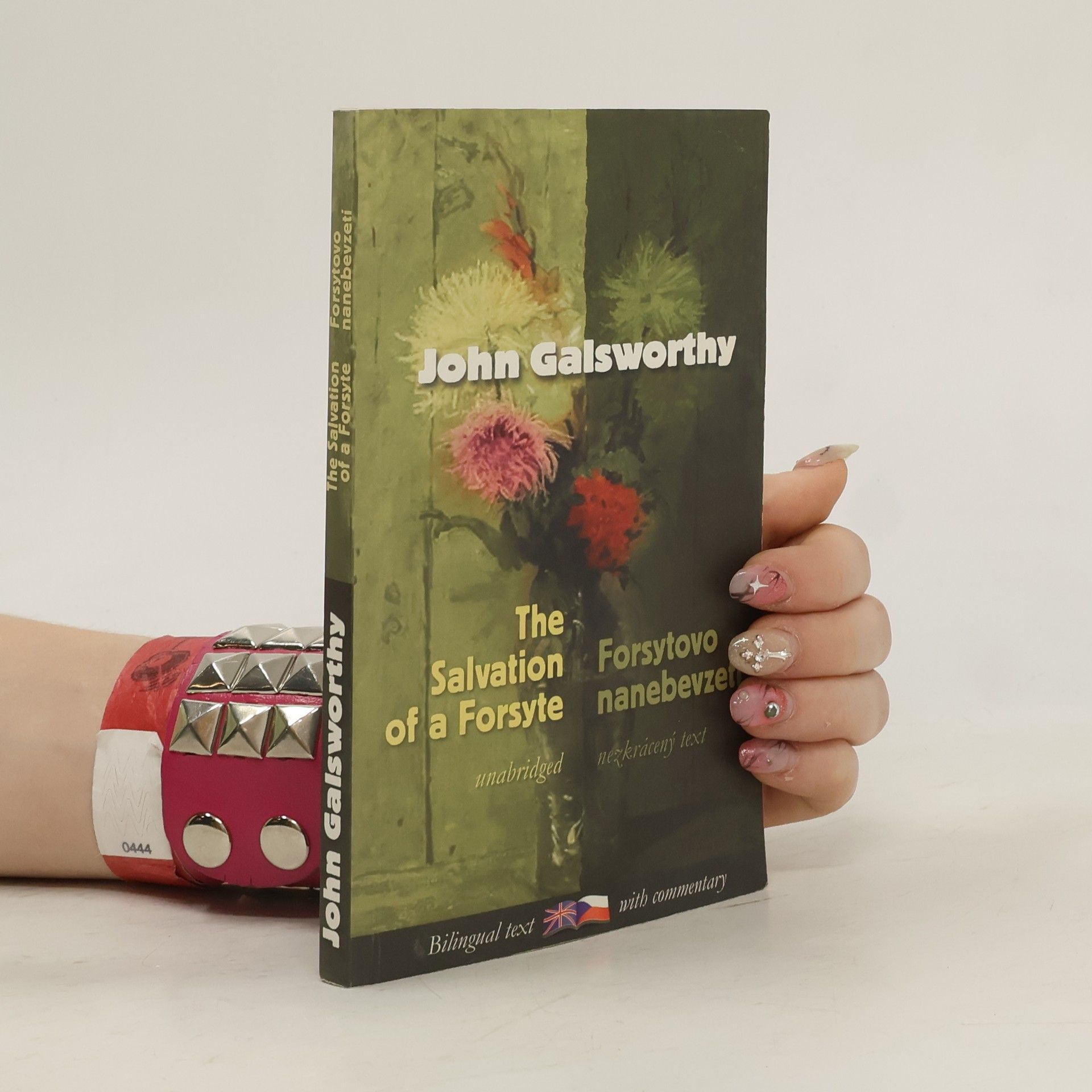 John Galsworthy Forsytovo nanebevzetí / Salvation of a Forsyte