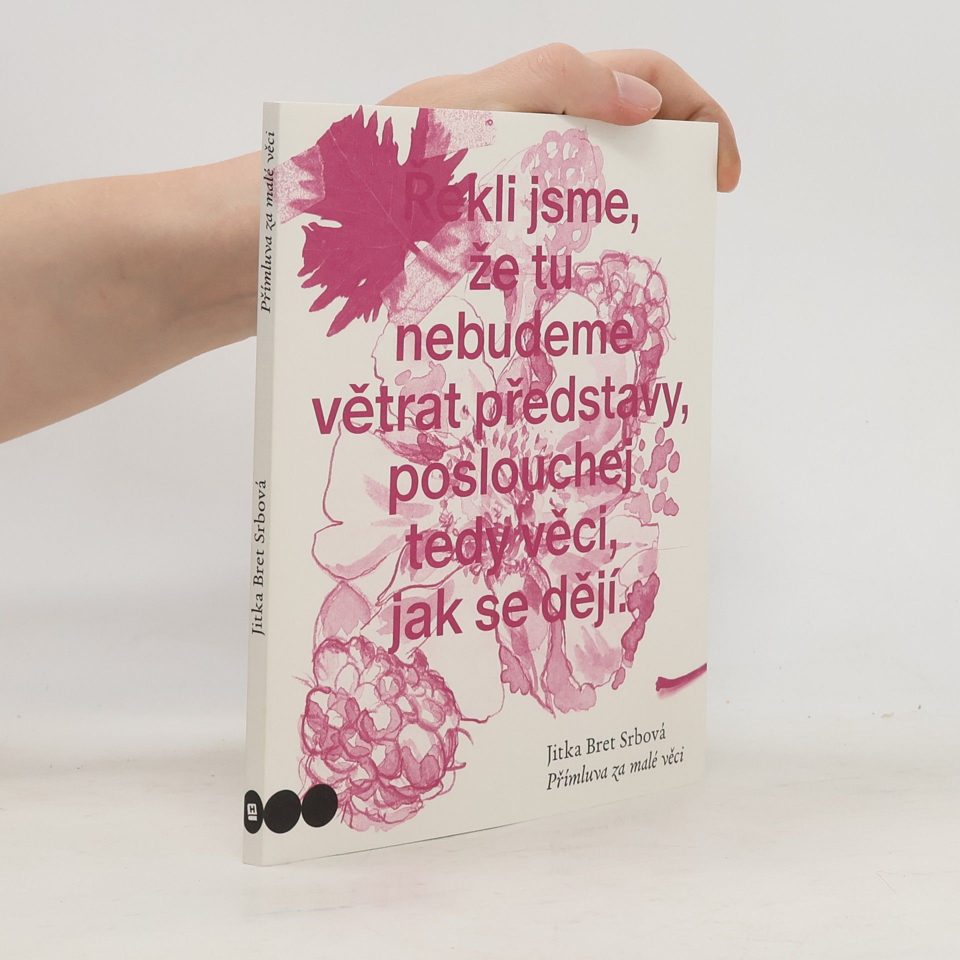 Jitka N. Srbová Přímluva za malé věci