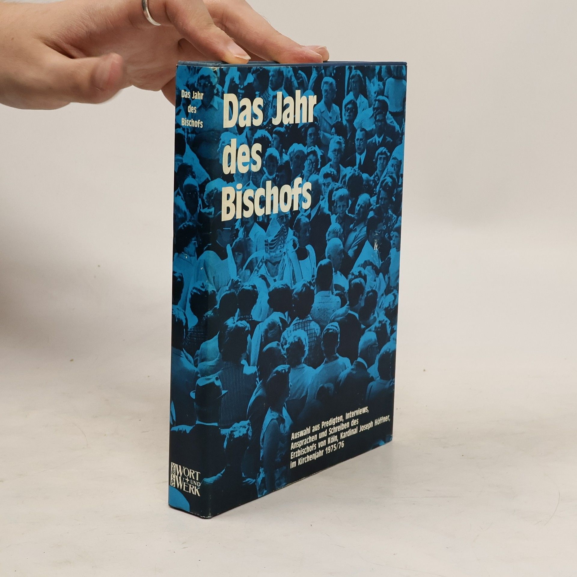Wilhelm Mogge Das Jahr des Bischofs