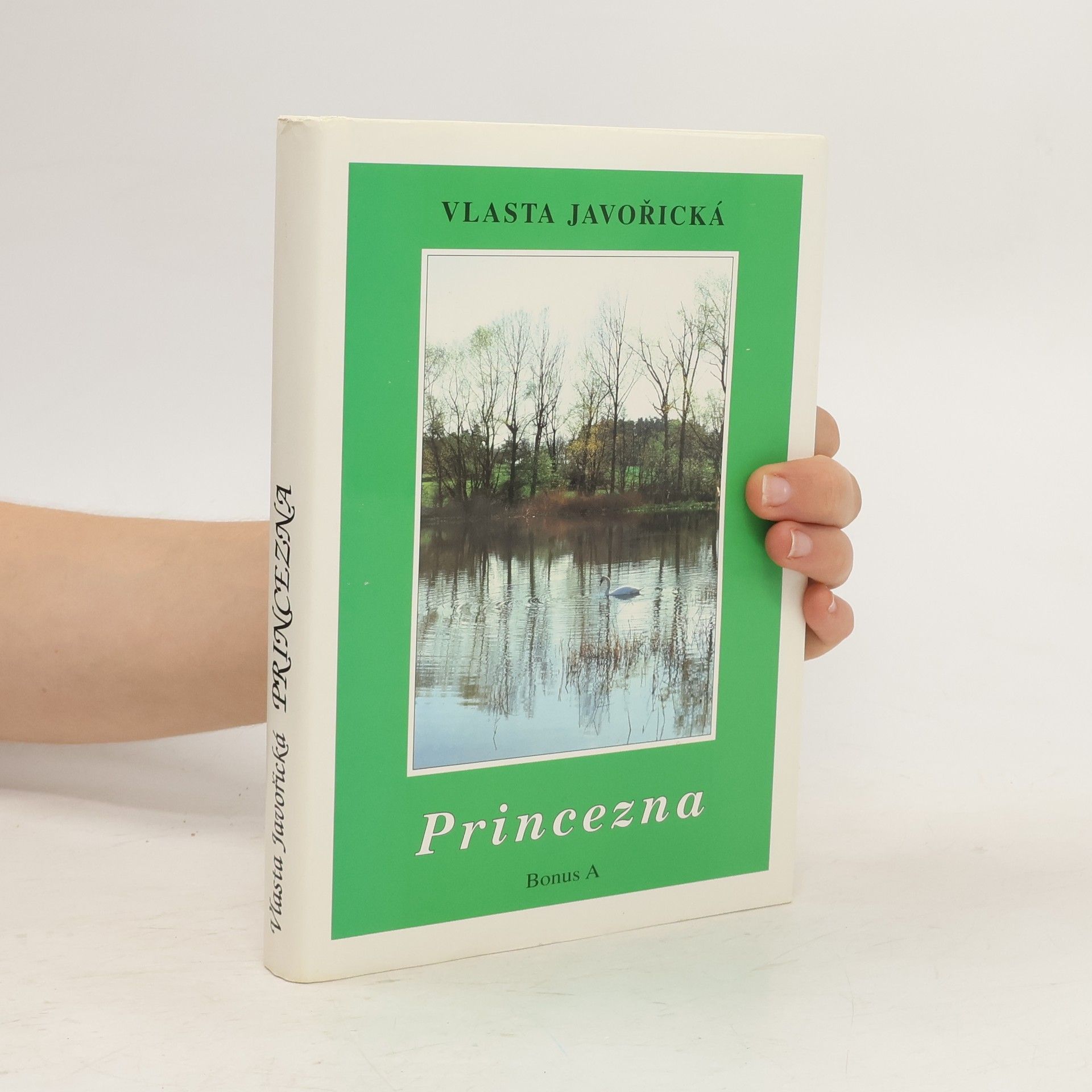 Vlasta Javořická Princezna : román dívky dvacátého století