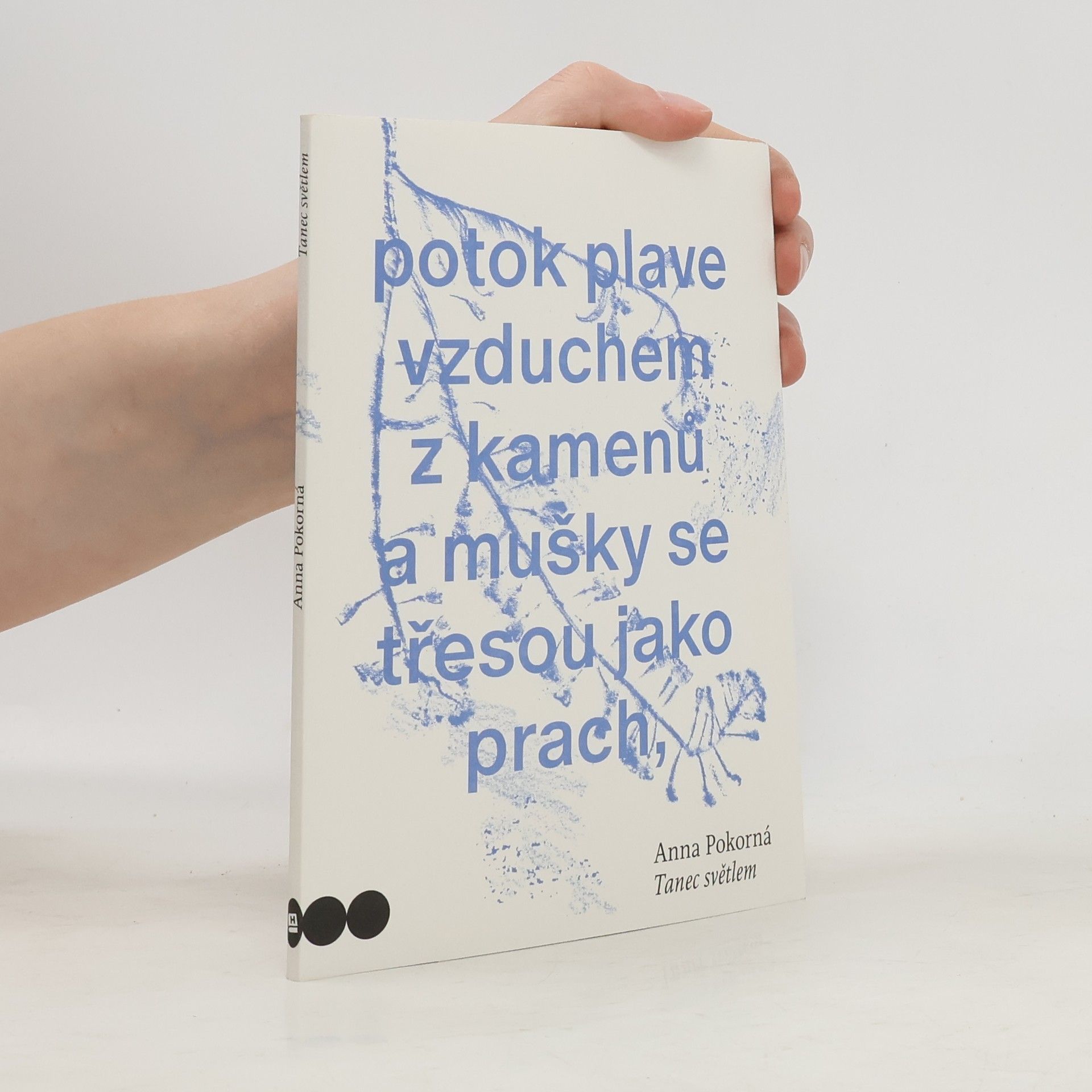 Anna Pokorná Tanec světlem