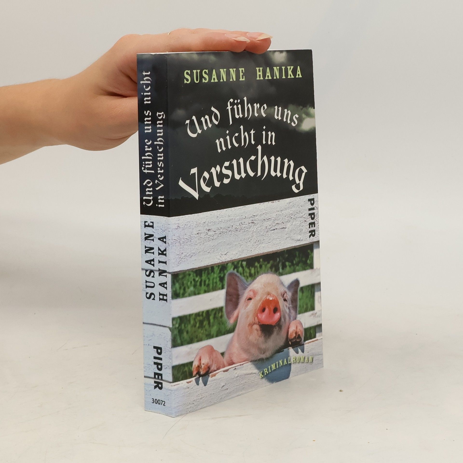 Susanne Hanika Und führe uns nicht in Versuchung