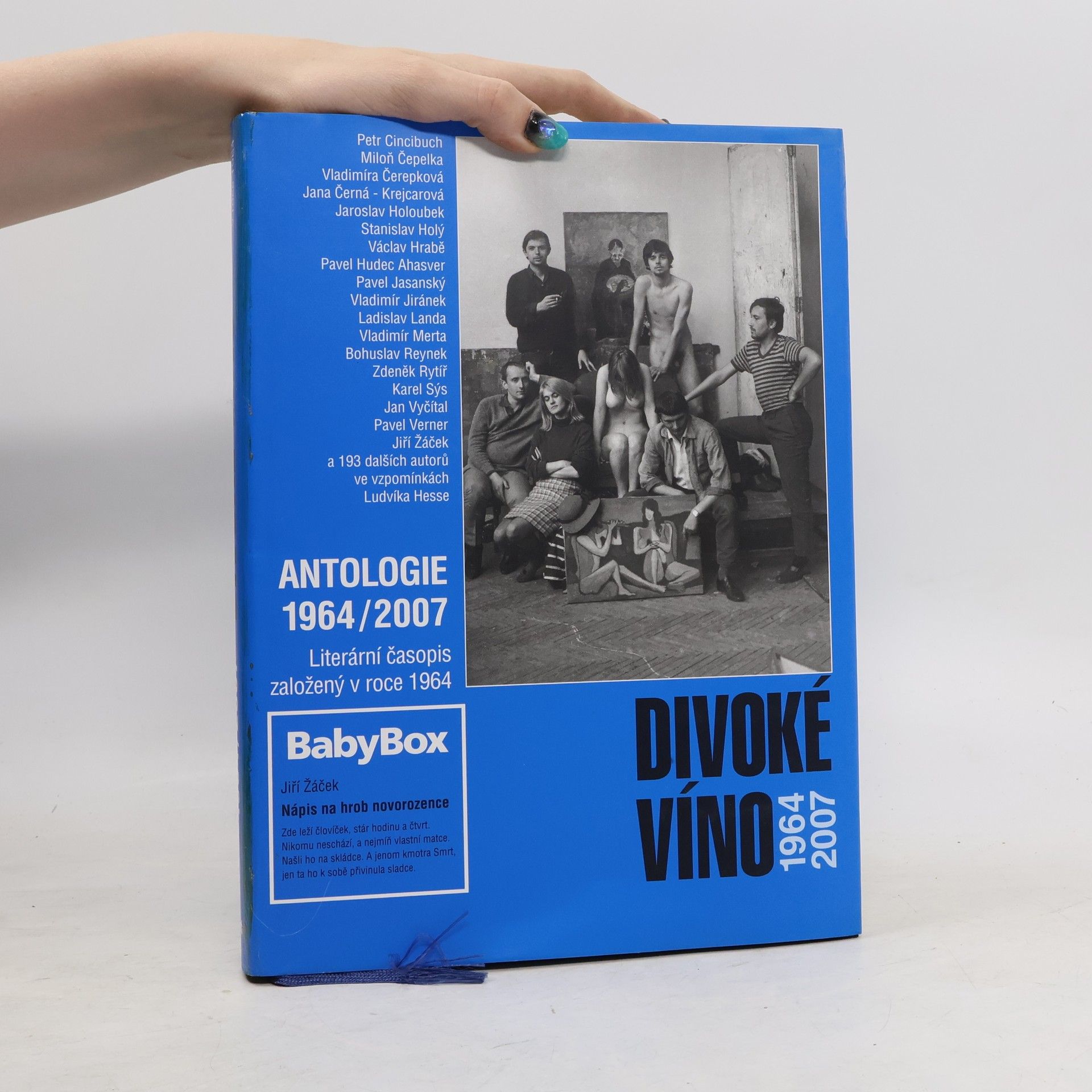 kolektiv Divoké víno 1964-2007. Antologie