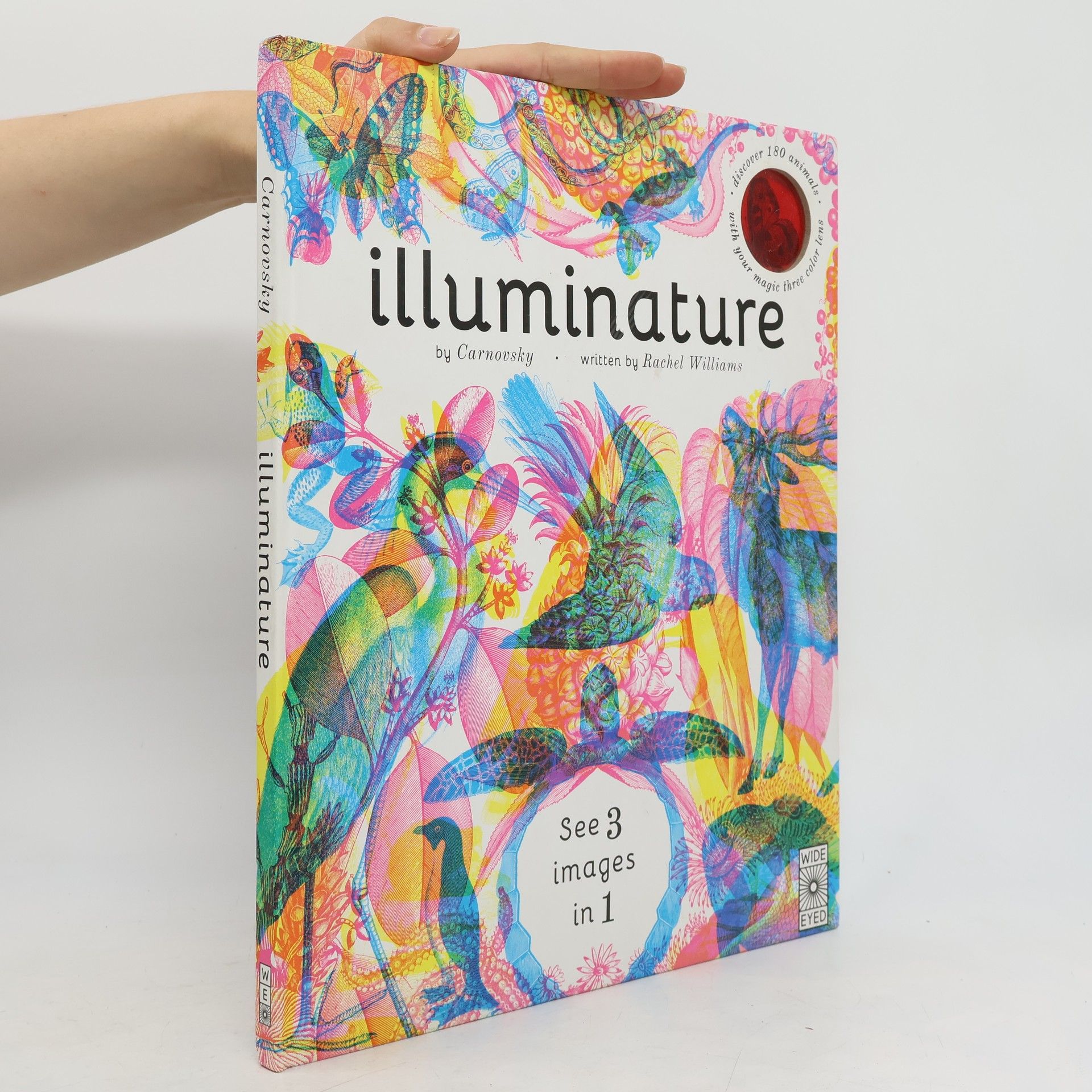 Rachel Williams Illuminature