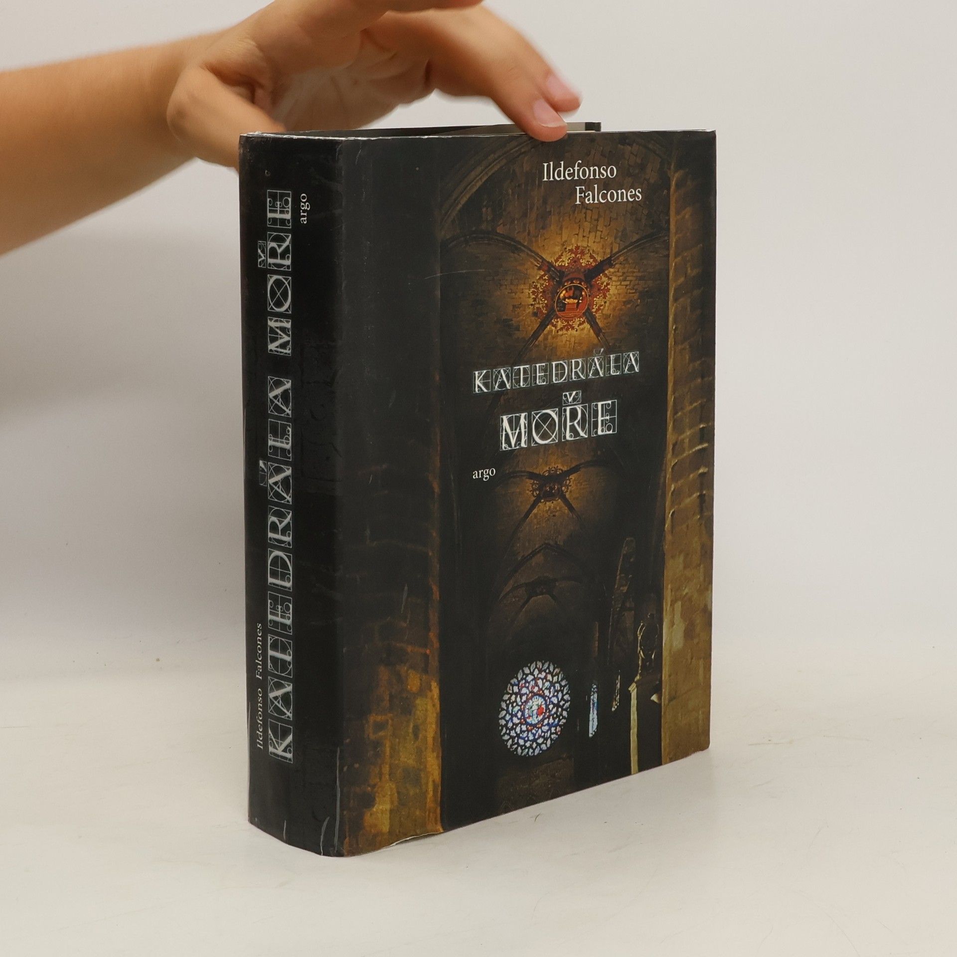 Ildefonso Falcones Katedrála moře