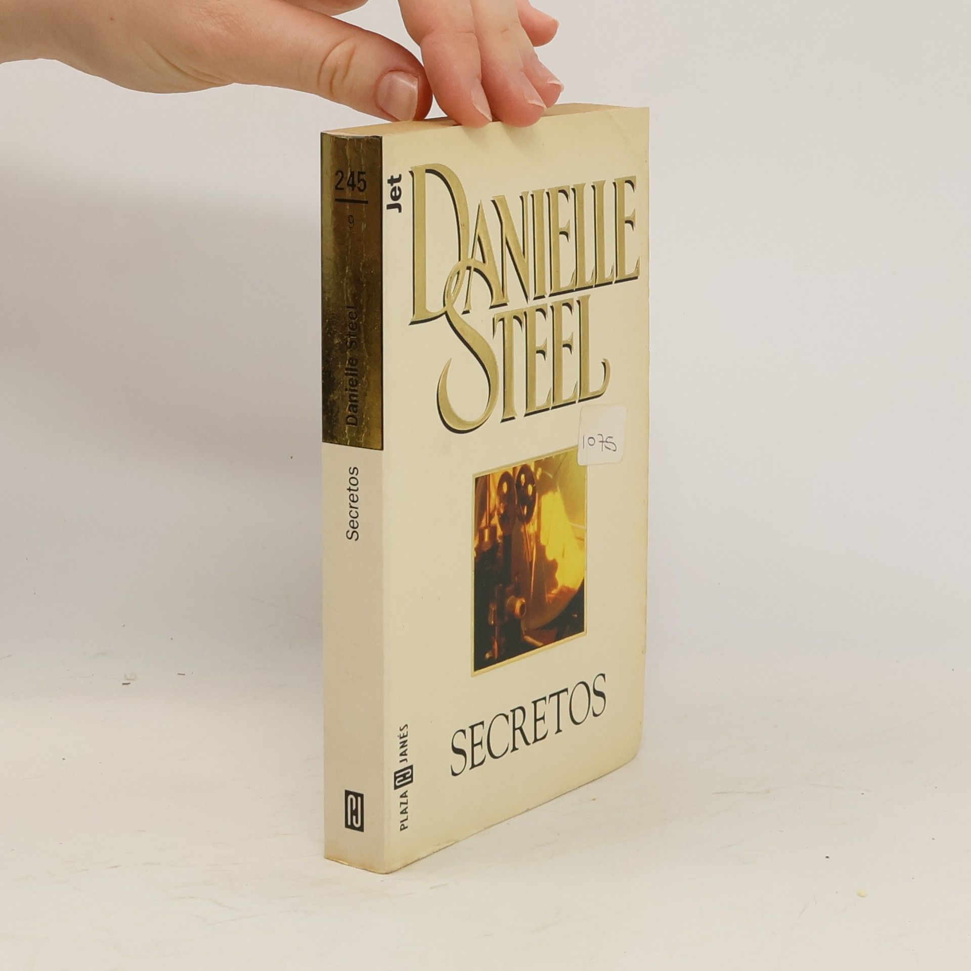Danielle Steelová Secretos