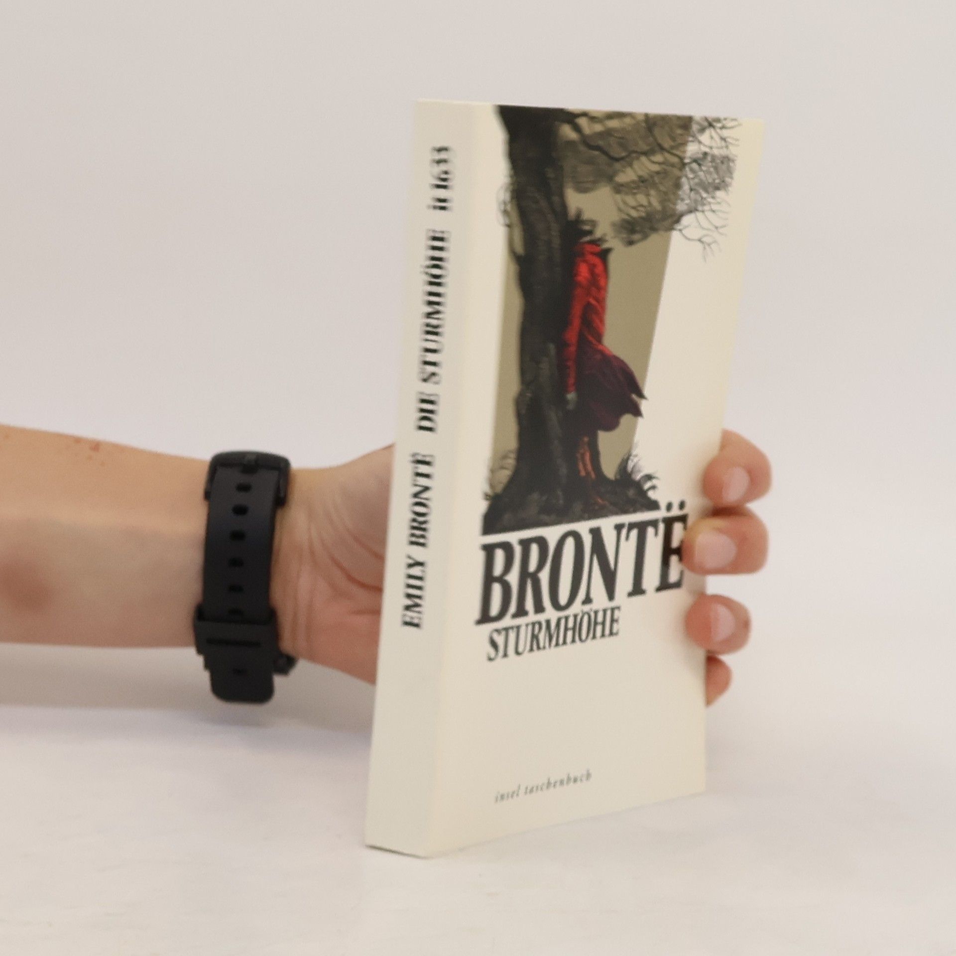 Emily Brontë Die Sturmhöhe
