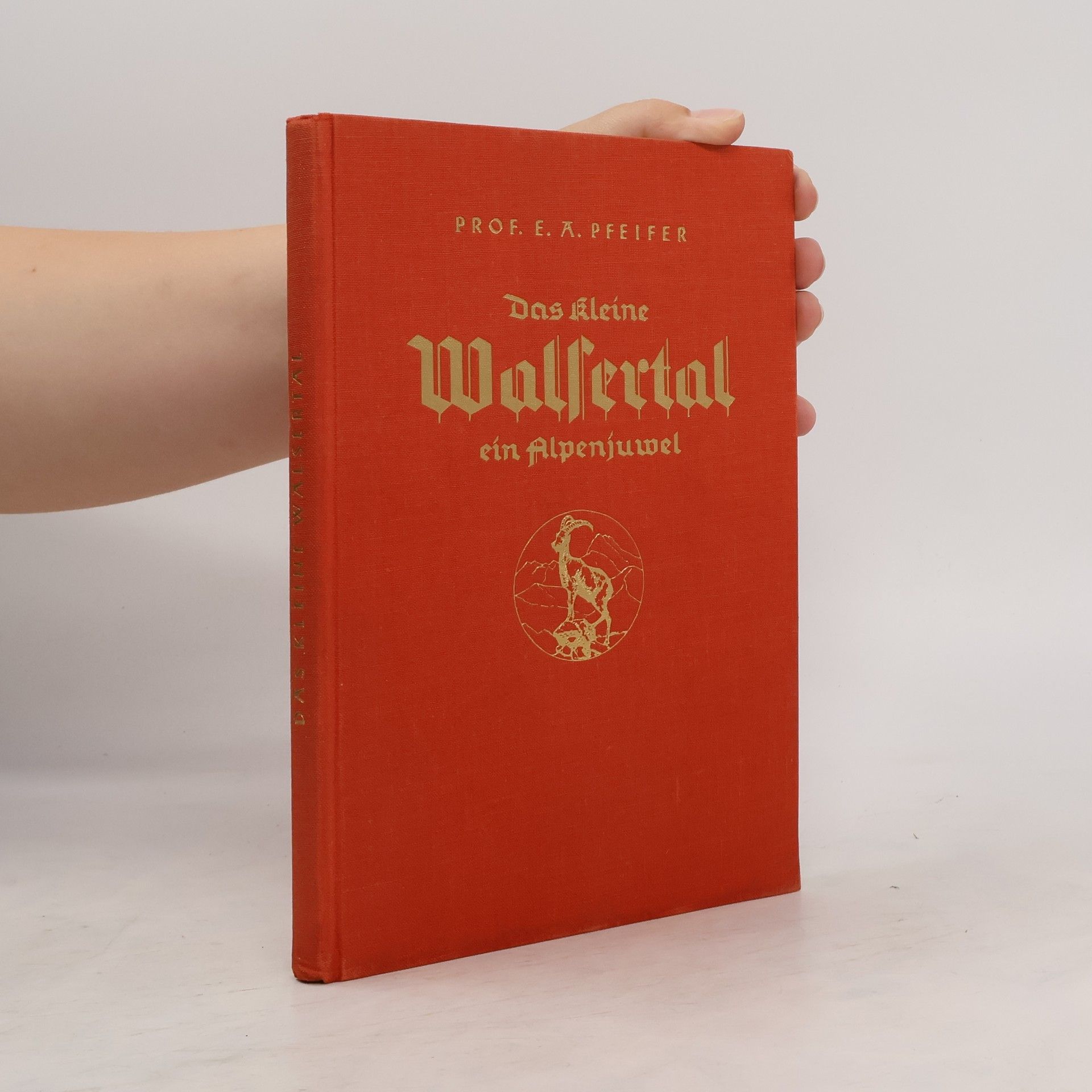 E. A. Pfeifer Das kleine Walsertal. Ein Alpenjuwel