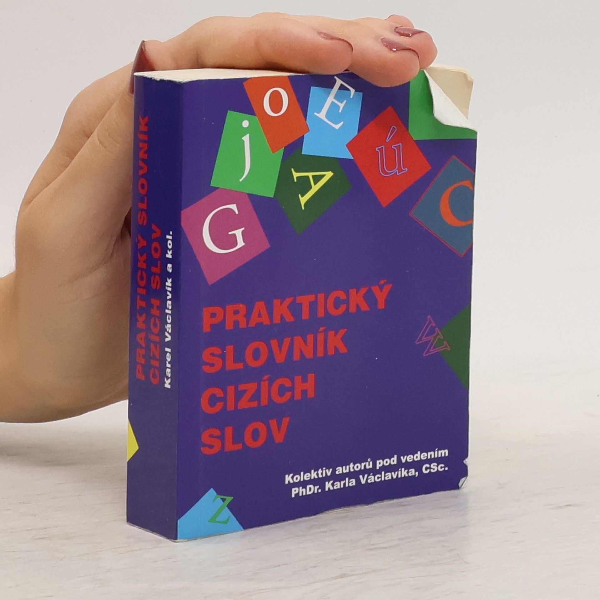 Autorenkollektiv Praktický slovník cizích slov
