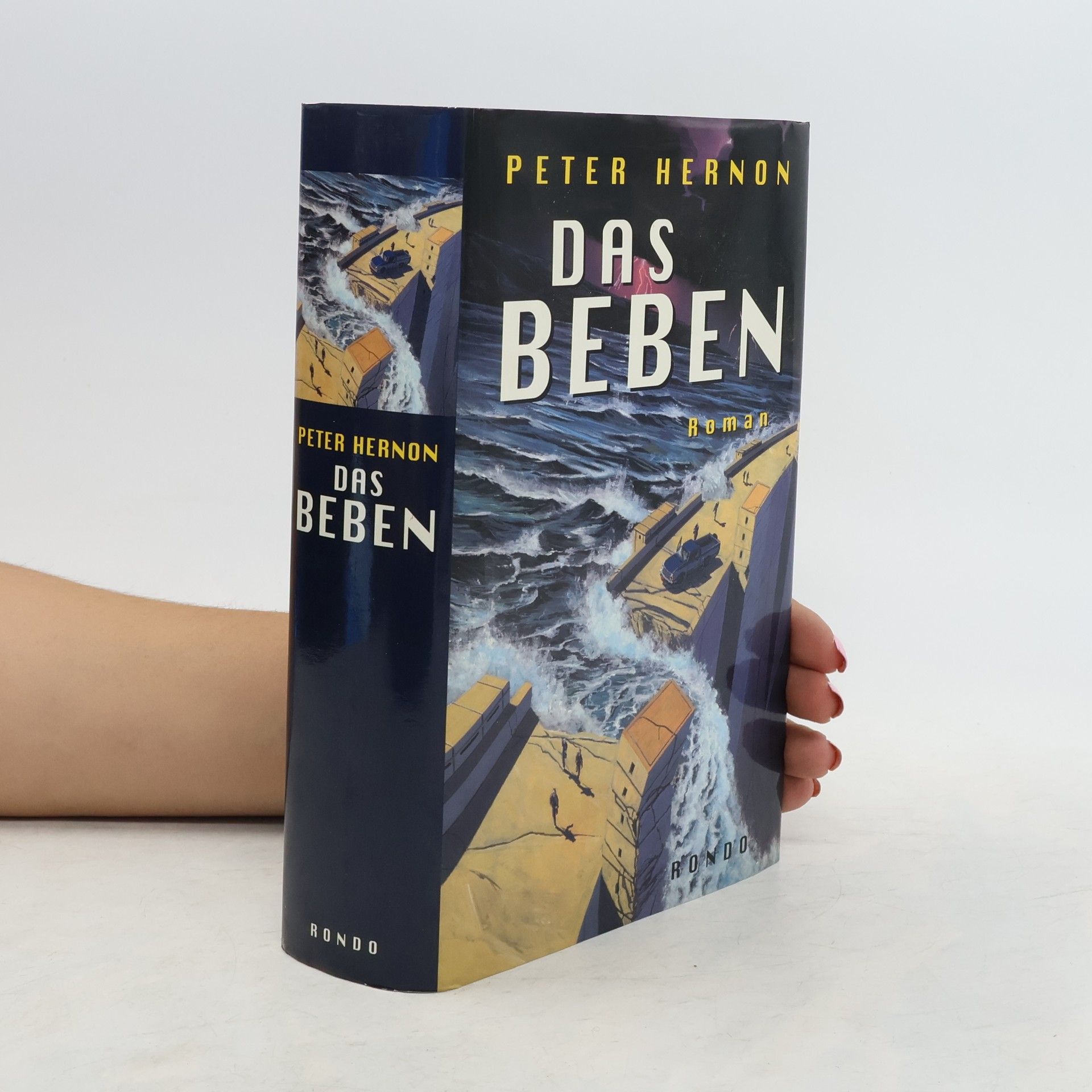Peter Hernon Das Beben