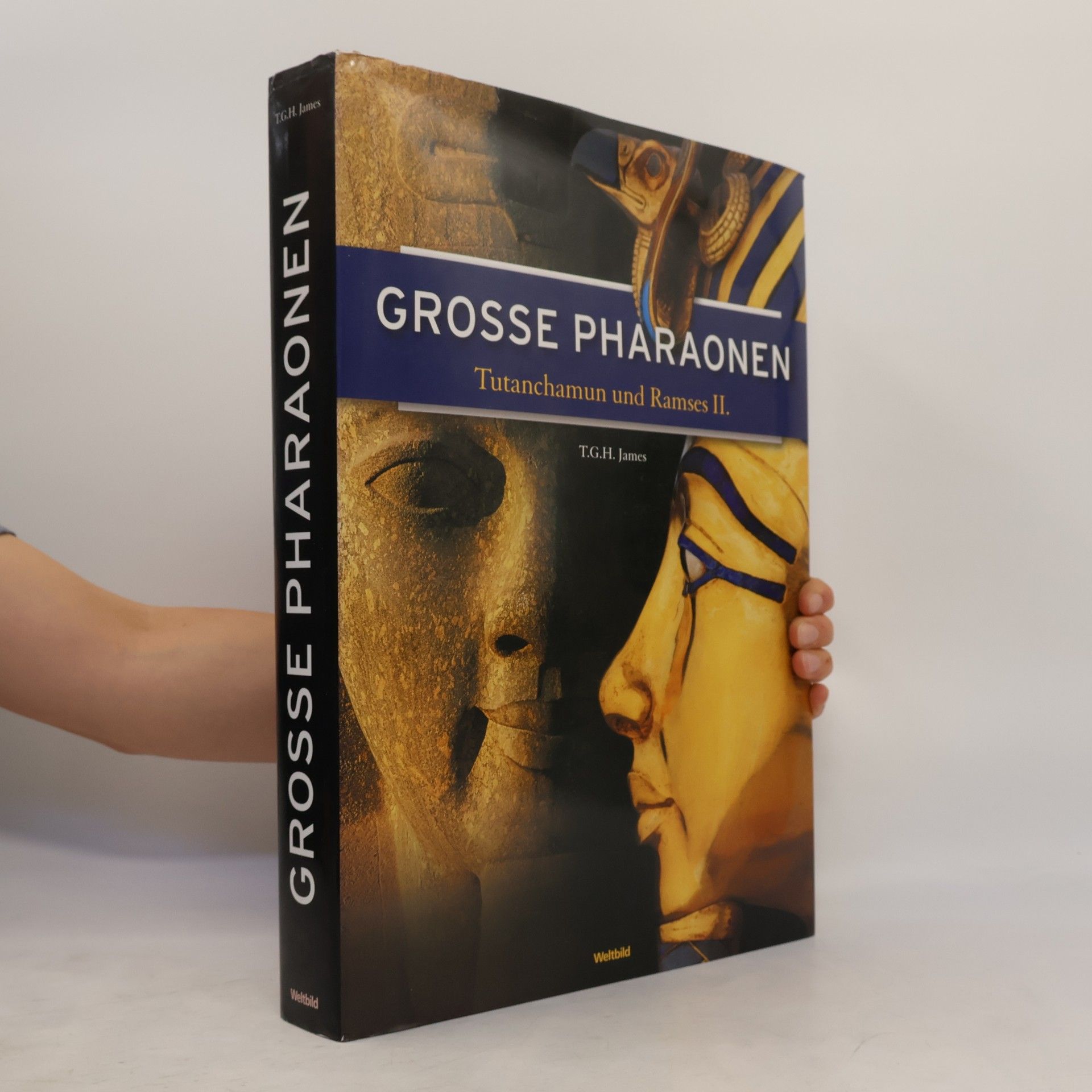 Thomas Garnet Henry James Große Pharaonen