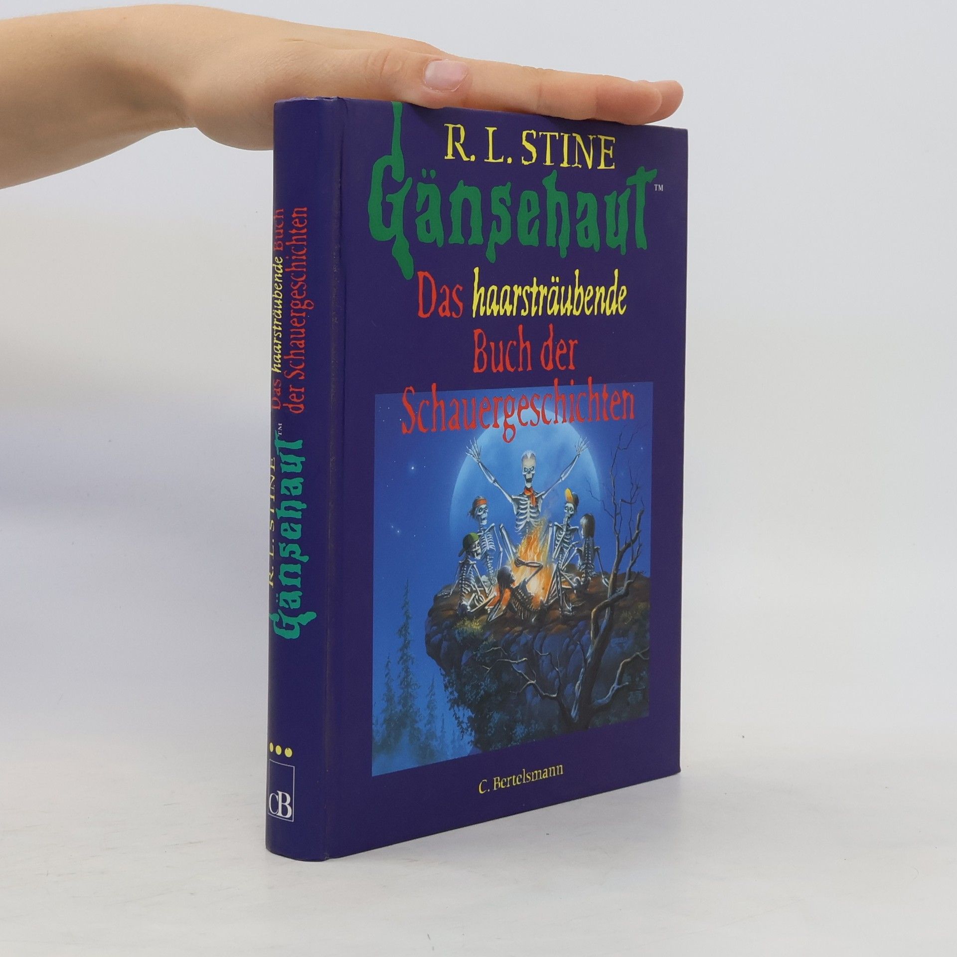 R. L. Stine Das haarsträubende. Buch der Schauergeschichten
