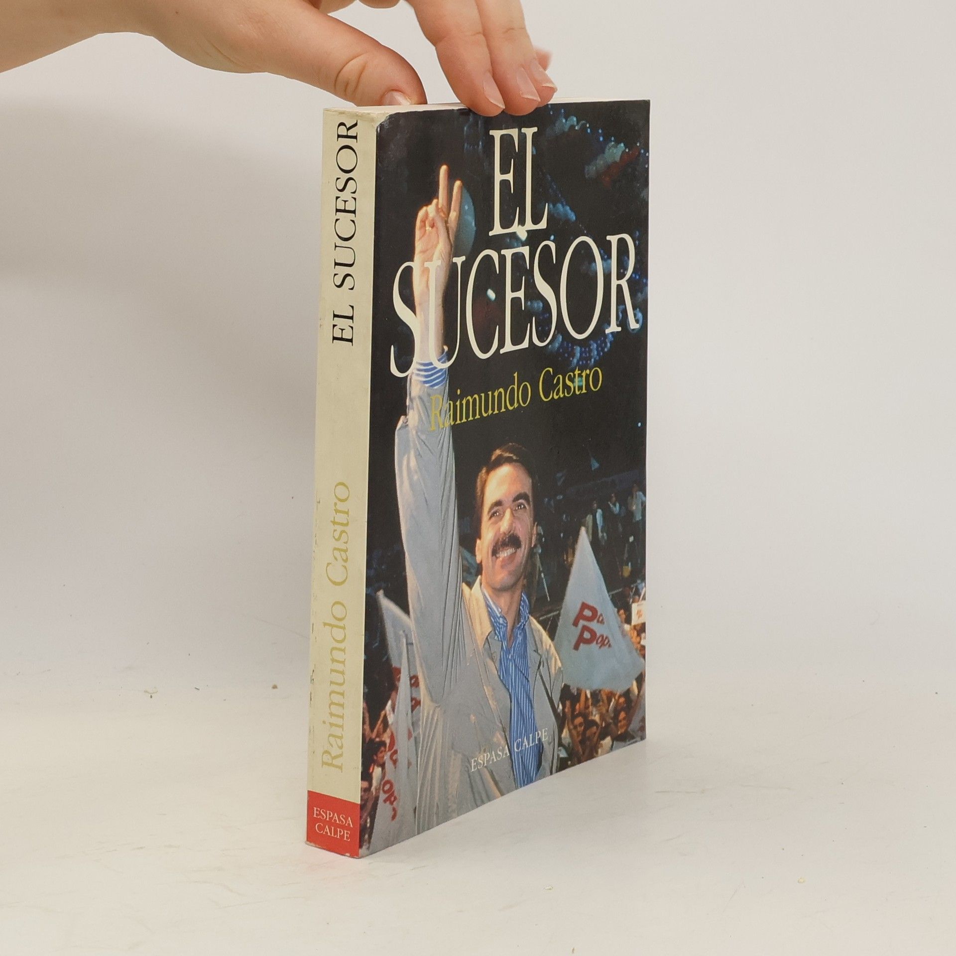 Raimundo Castro El sucesor