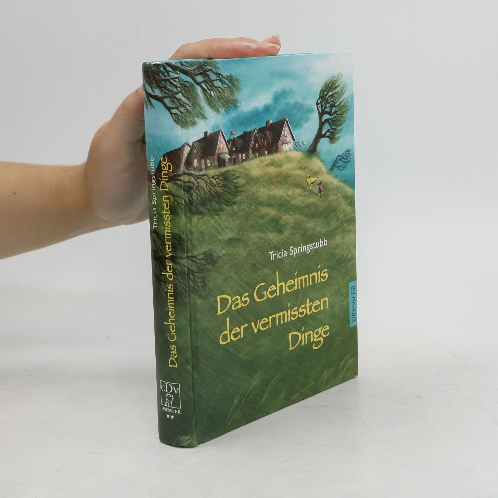 Tricia Springstubb Das Geheimnis der vermissten Dinge