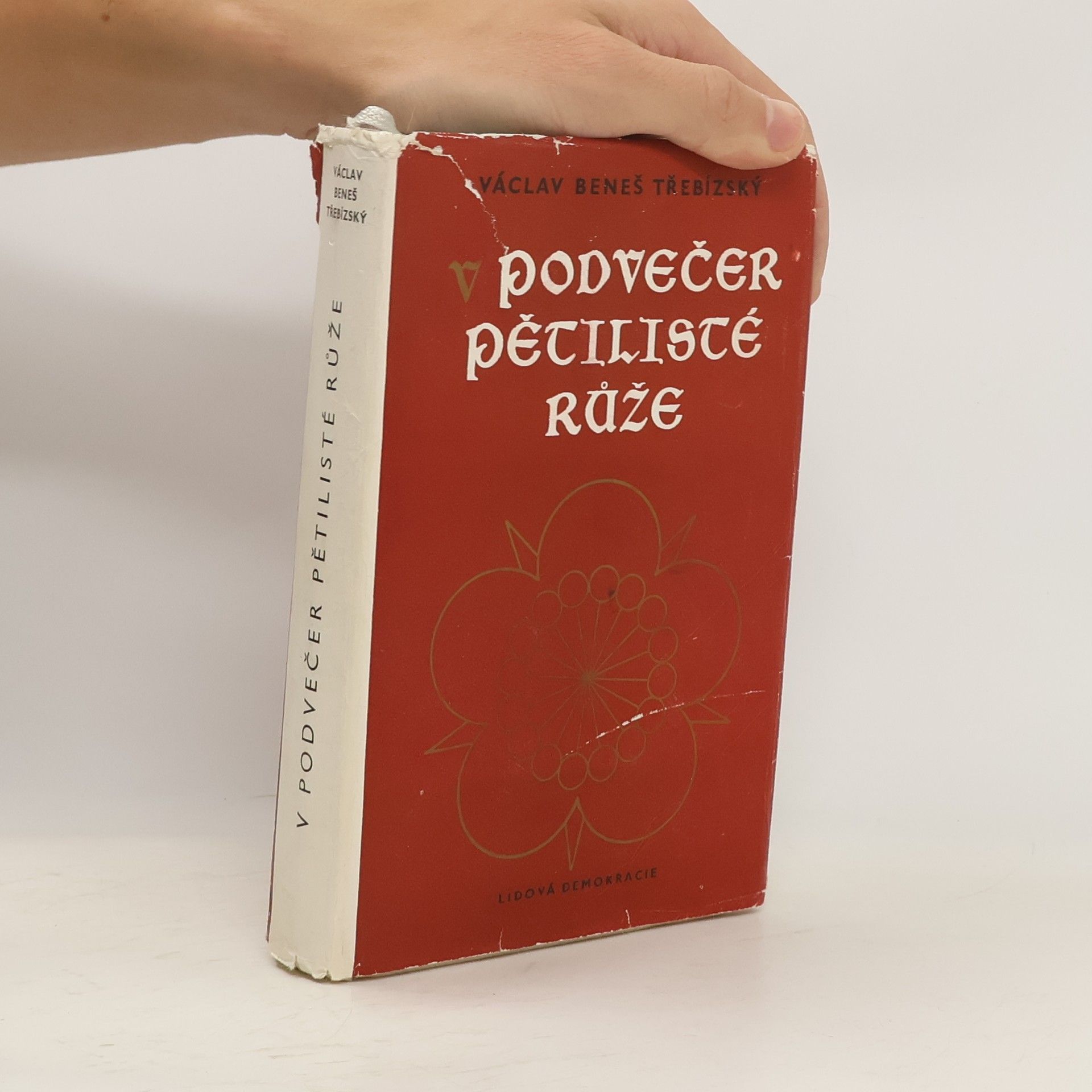 V podvečer pětilisté růže