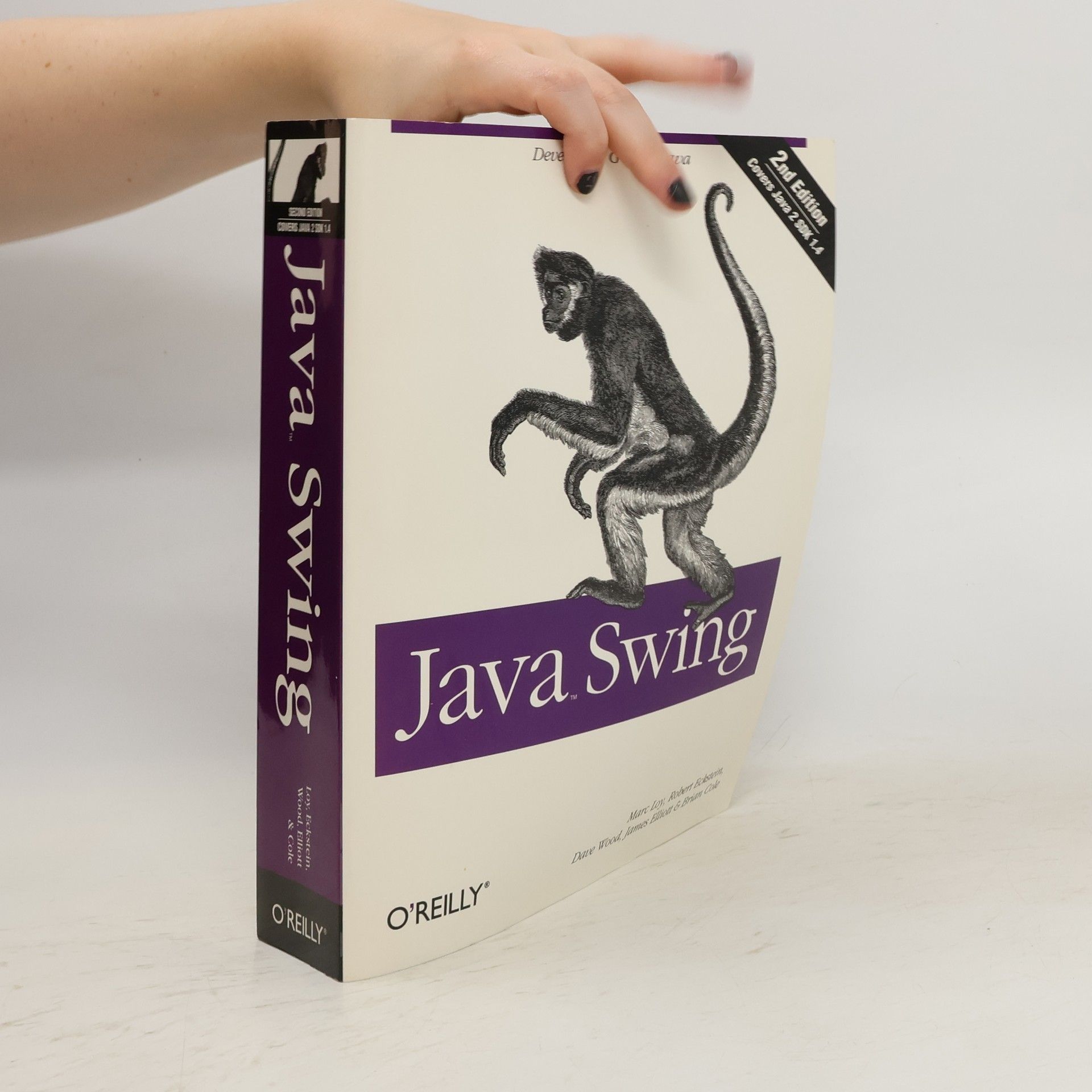 Marc Loy Java swing