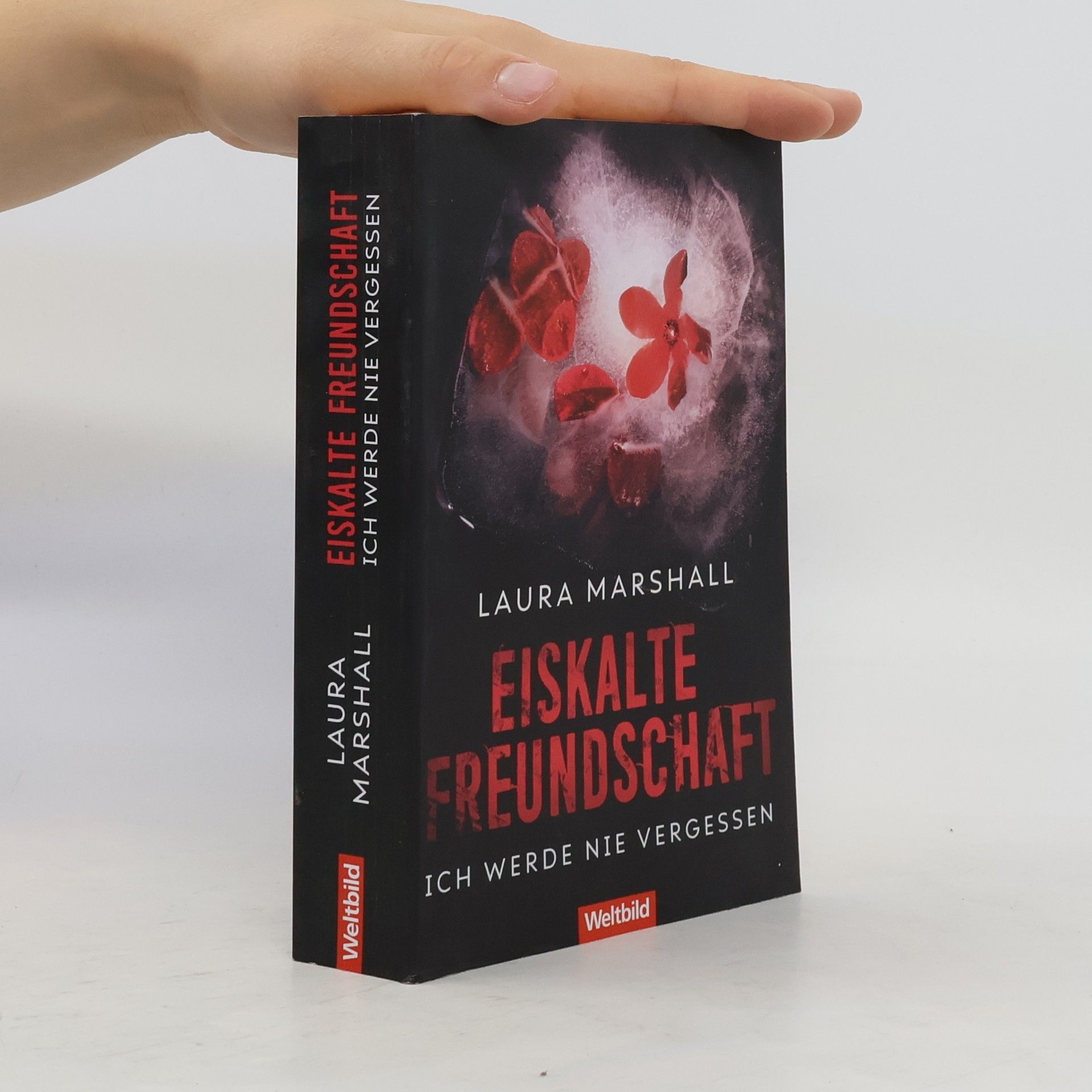 Laura Marshall Eiskalte Freundschaft - Ich werde nie vergessen