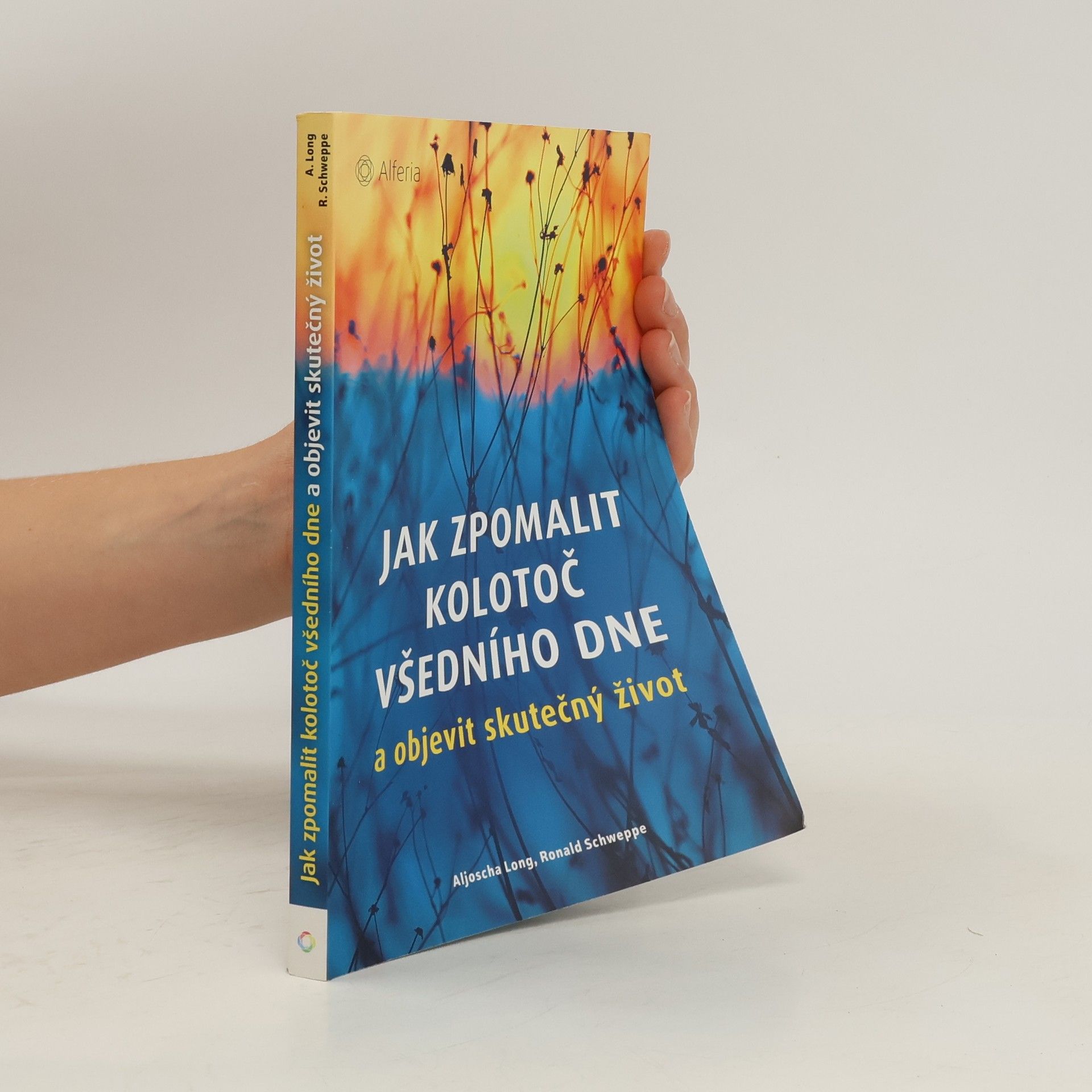 Aljoscha Long Jak zpomalit kolotoč všedního dne a objevit skutečný život