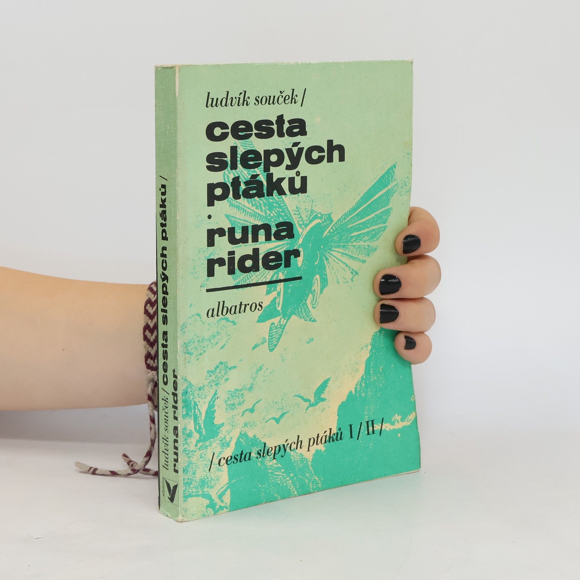 Ludvík Souček Cesta slepých ptáků. Runa rider