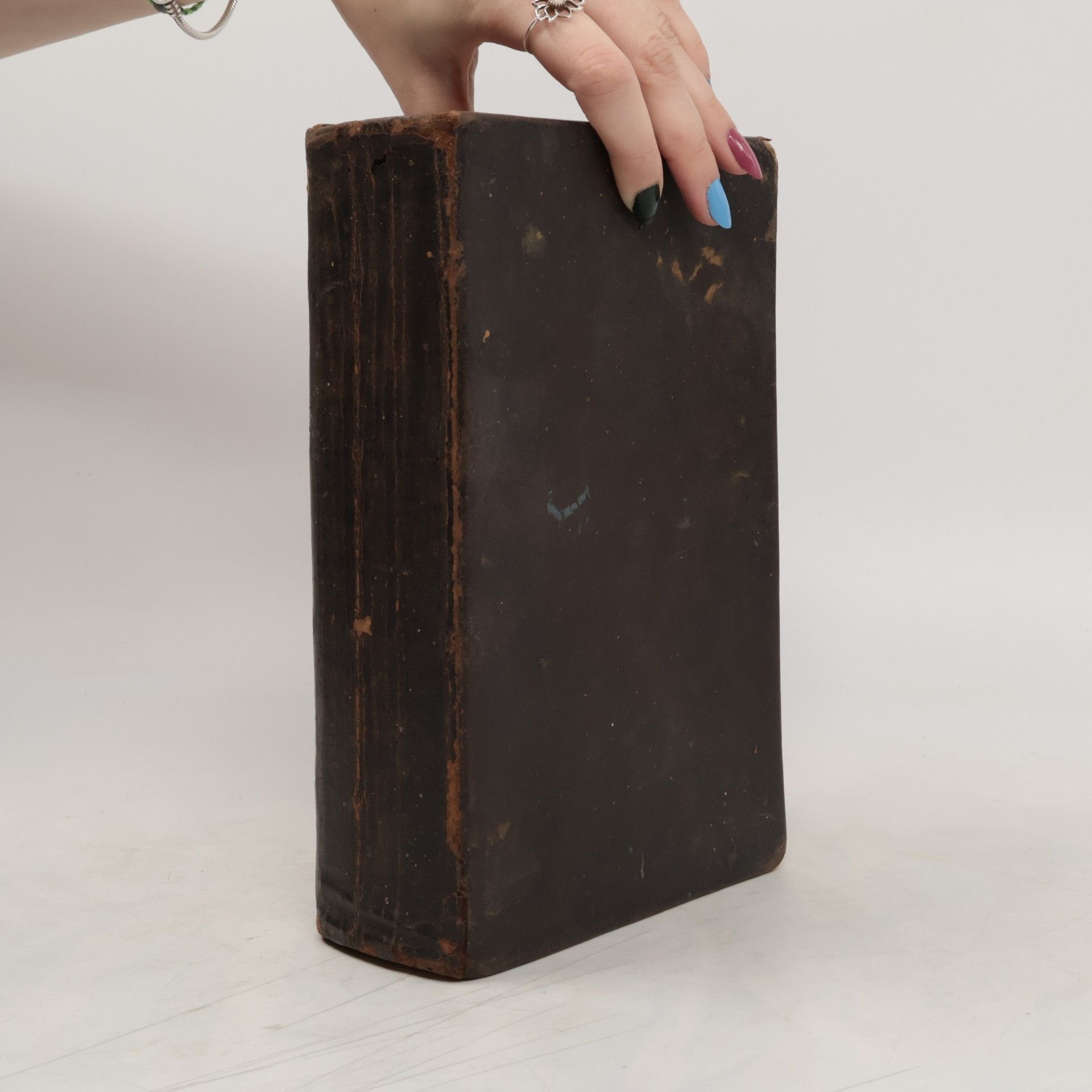 Martin Luther Die Bibel oder Die ganze heilige Schrift Alten und Neuen Testaments