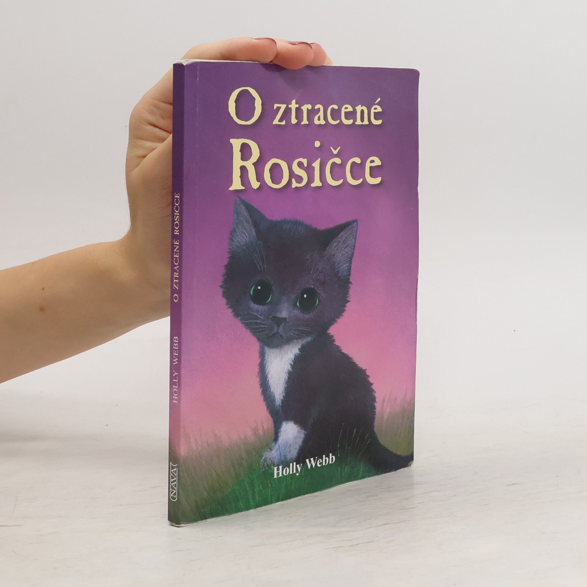 Holly Webb O ztracené Rosičce