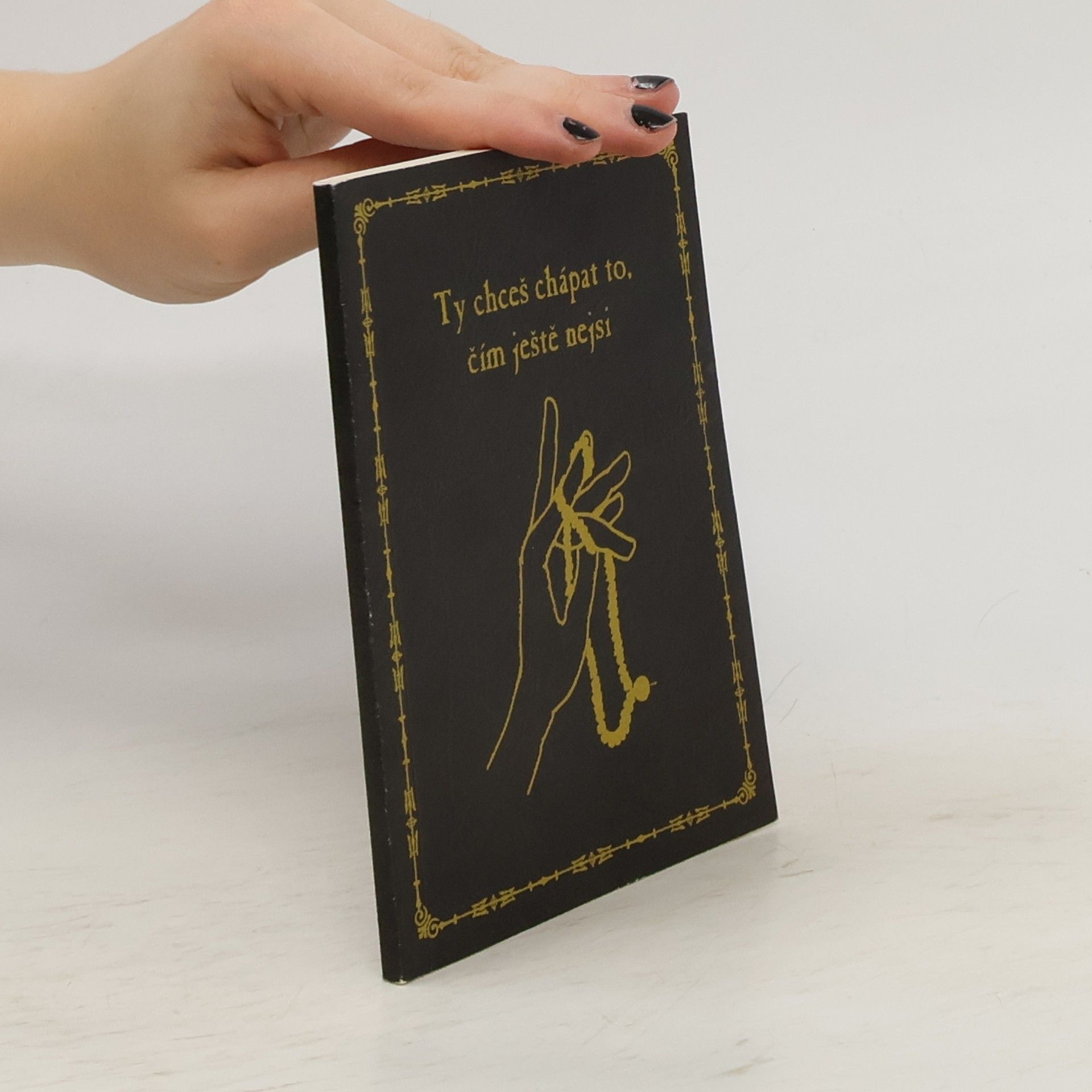 Kolektiv autorů Ty chceš chápat to, čím ještě nejsi