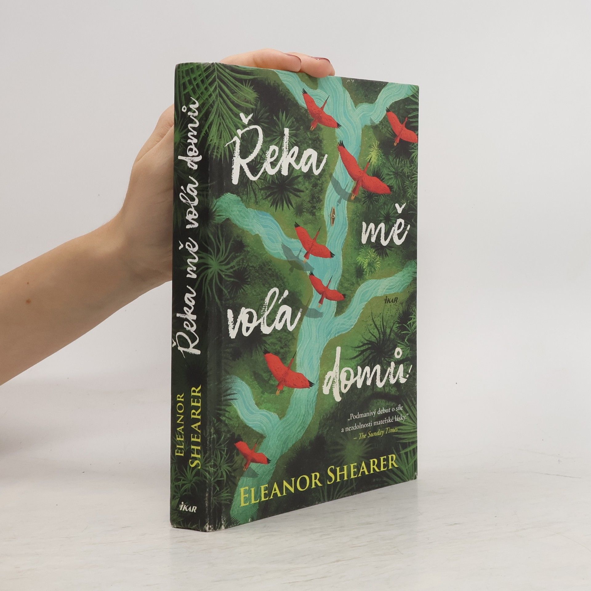 Petra Diestlerová Řeka mě volá domů