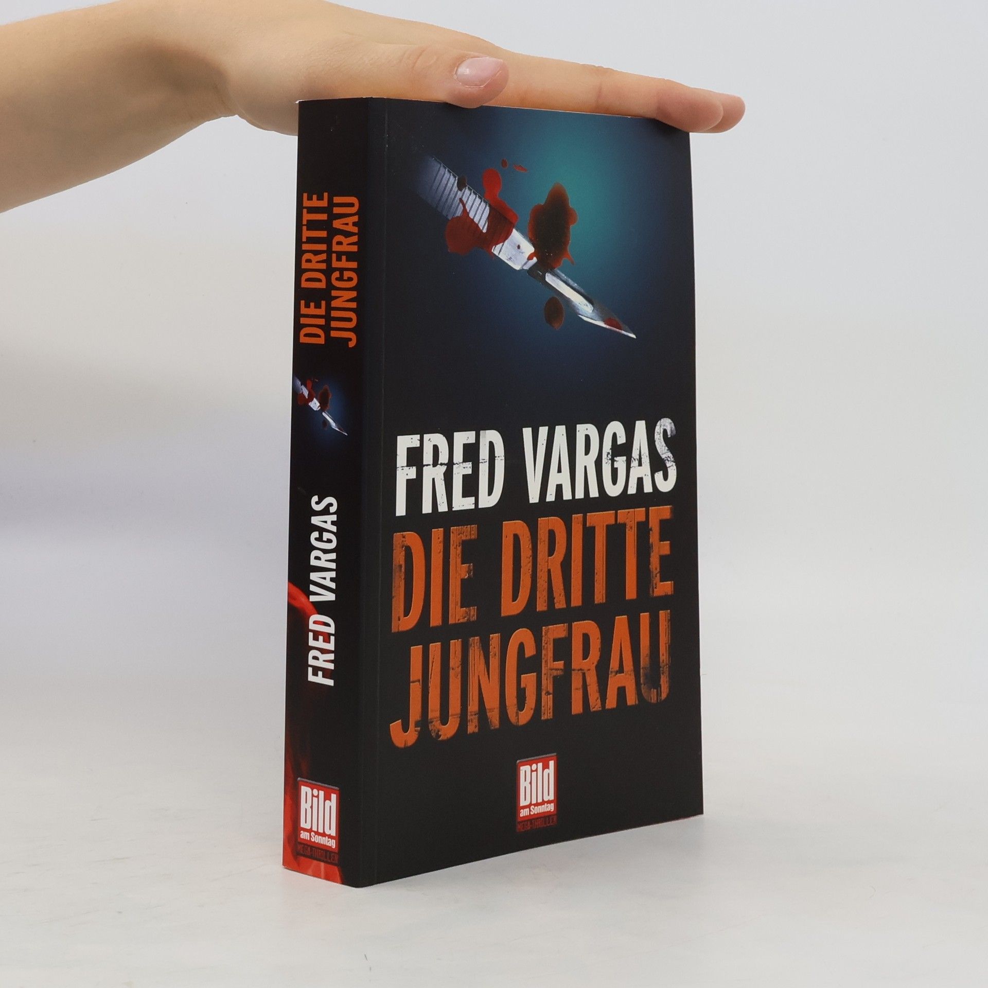Fred Vargas Die dritte Jungfrau