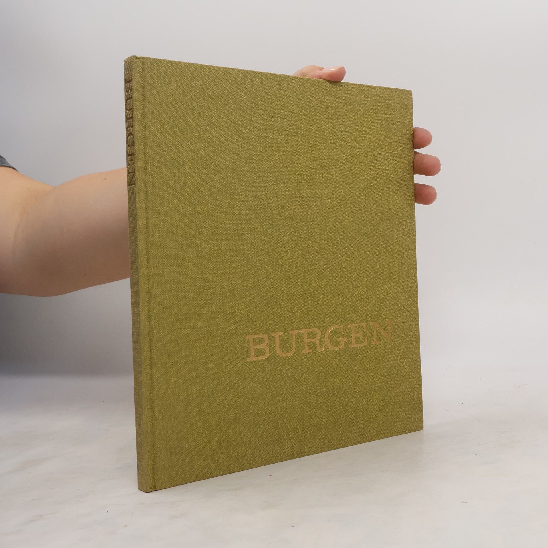 Autorenkollektiv Burgen