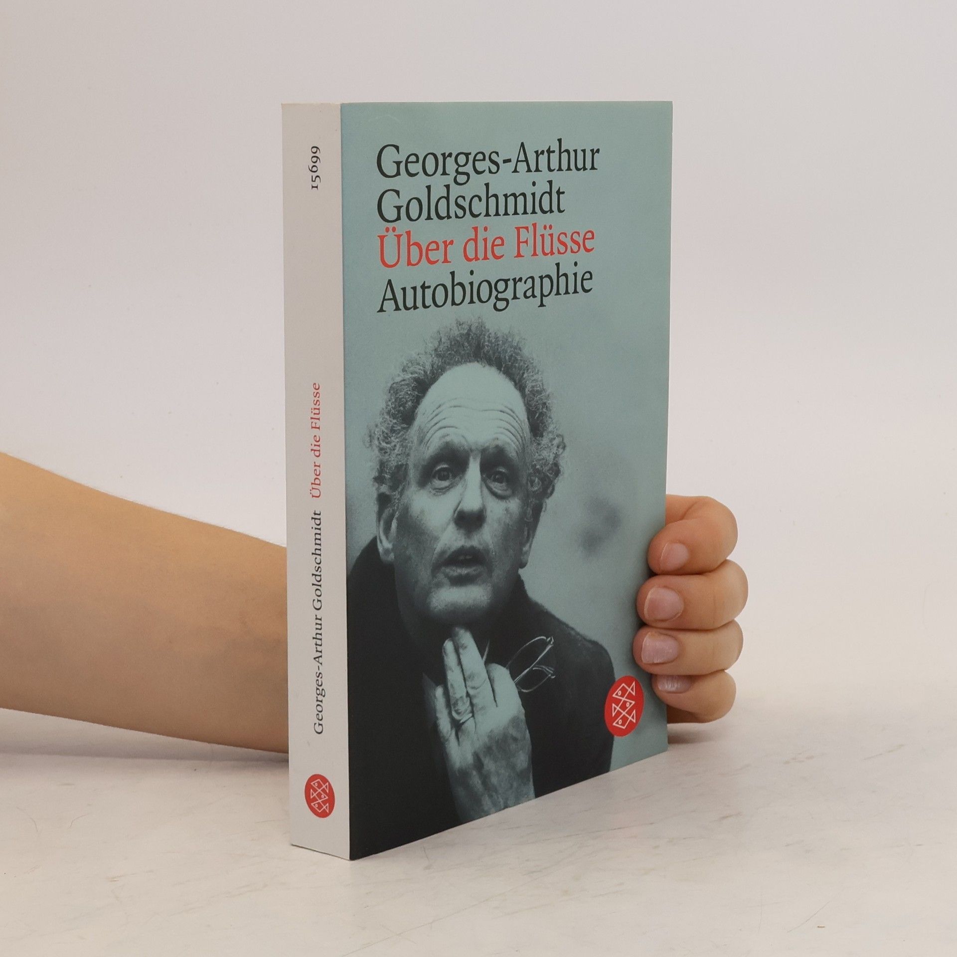 Georges Arthur Goldsmidt Über die Flüsse